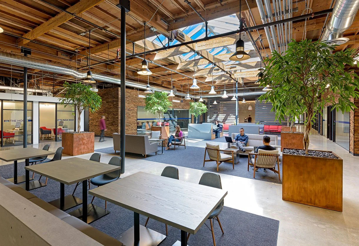Interior view of the LinkedIn office in Sunnyvale showcasing open workspace layouts, modern collaborative seating, and structural engineering by PARADIGM.