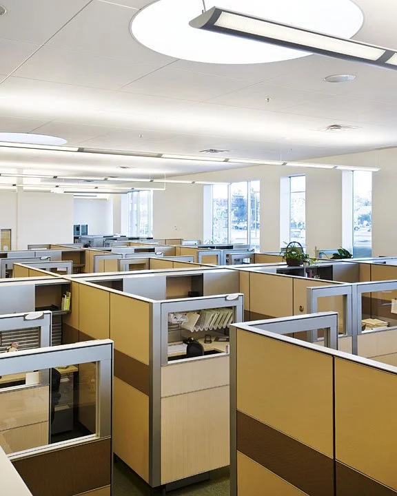 Interior view of the office workspace at Marin Health and Wellness featuring cubicles, natural lighting, and interior renovations by PARADIGM.