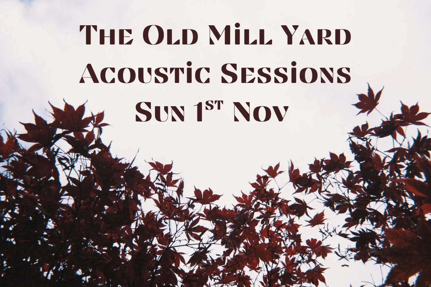 The Old Mill Yard: Acoustic Sessions