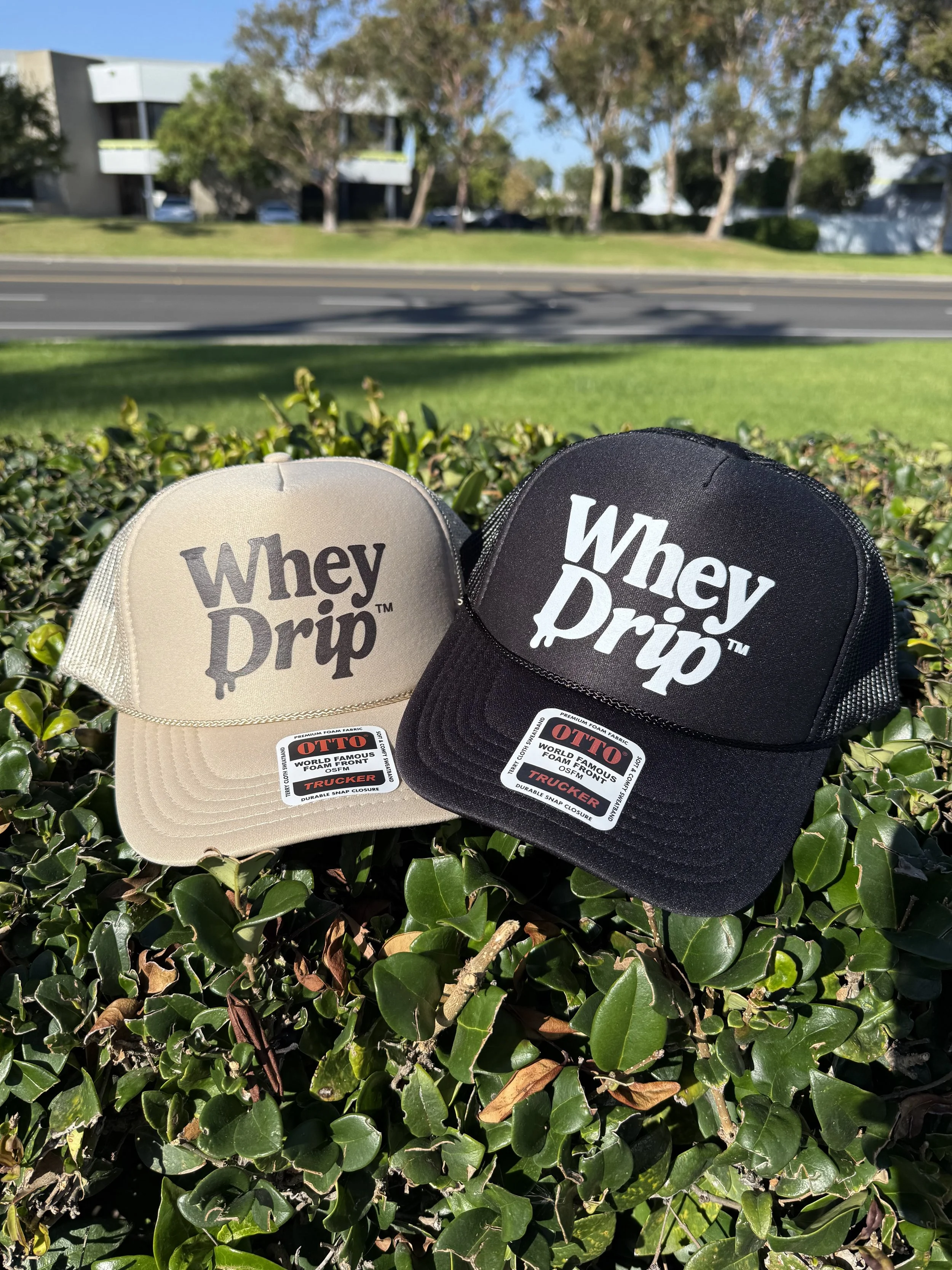 Whey Drip Classic Hat