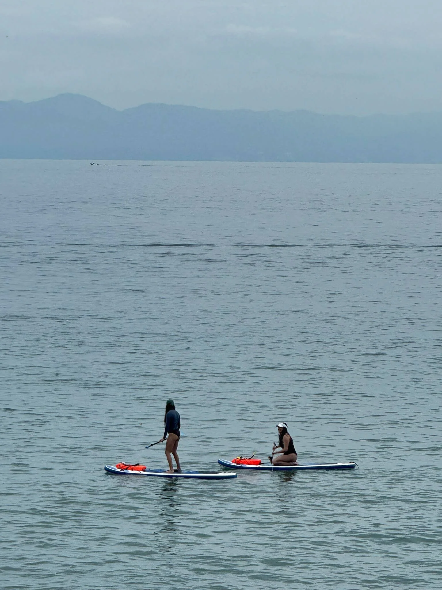 paddle board