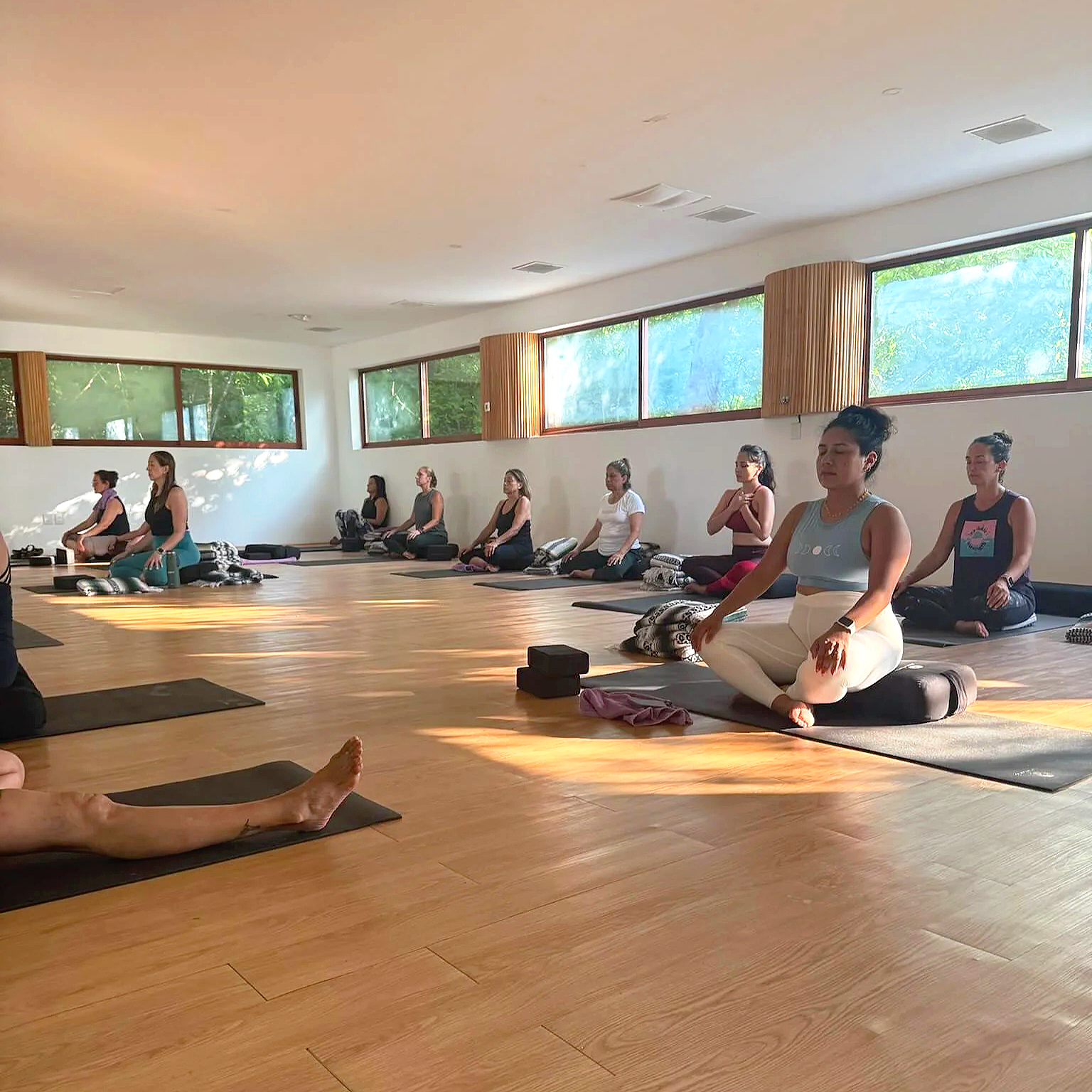meditación 