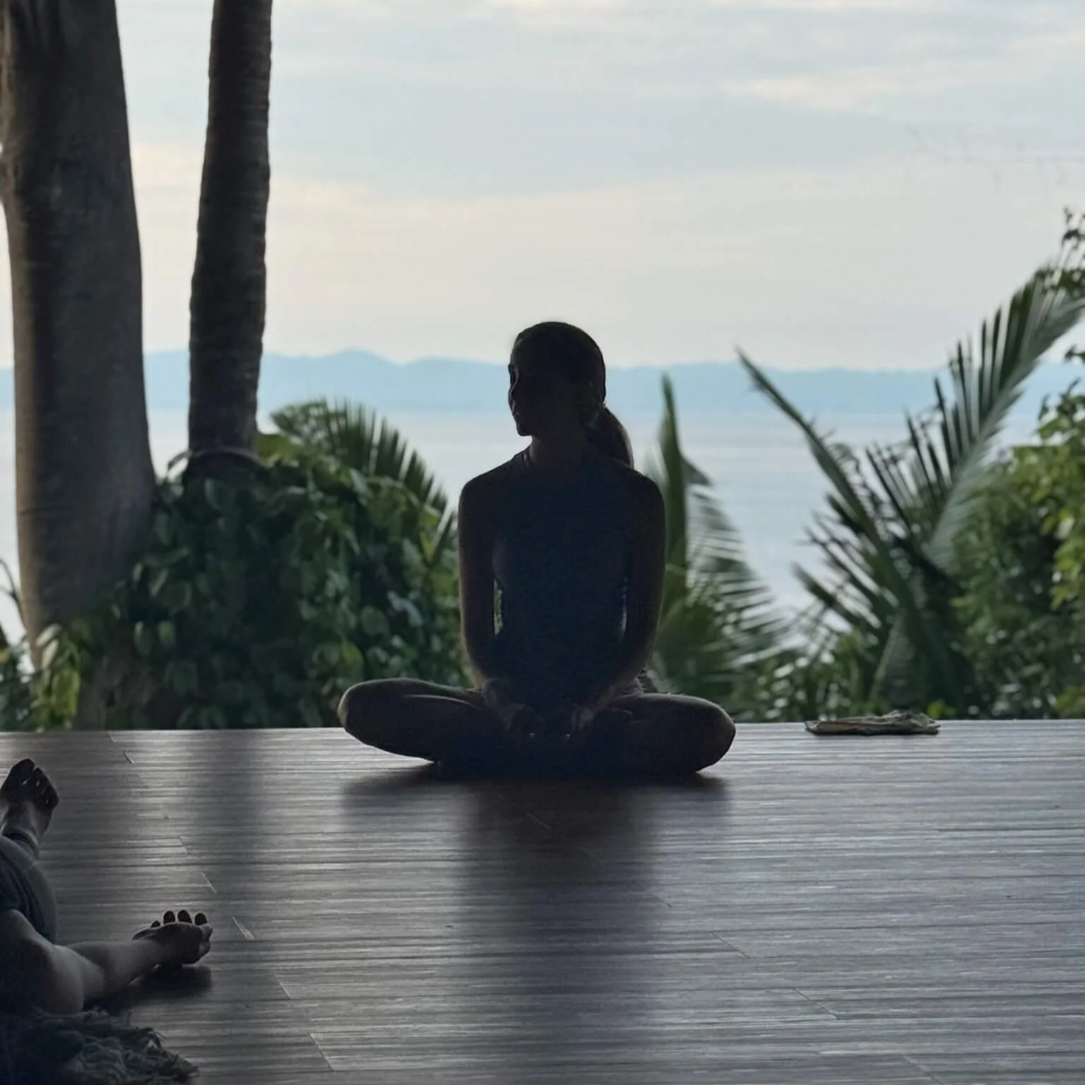 Meditación 