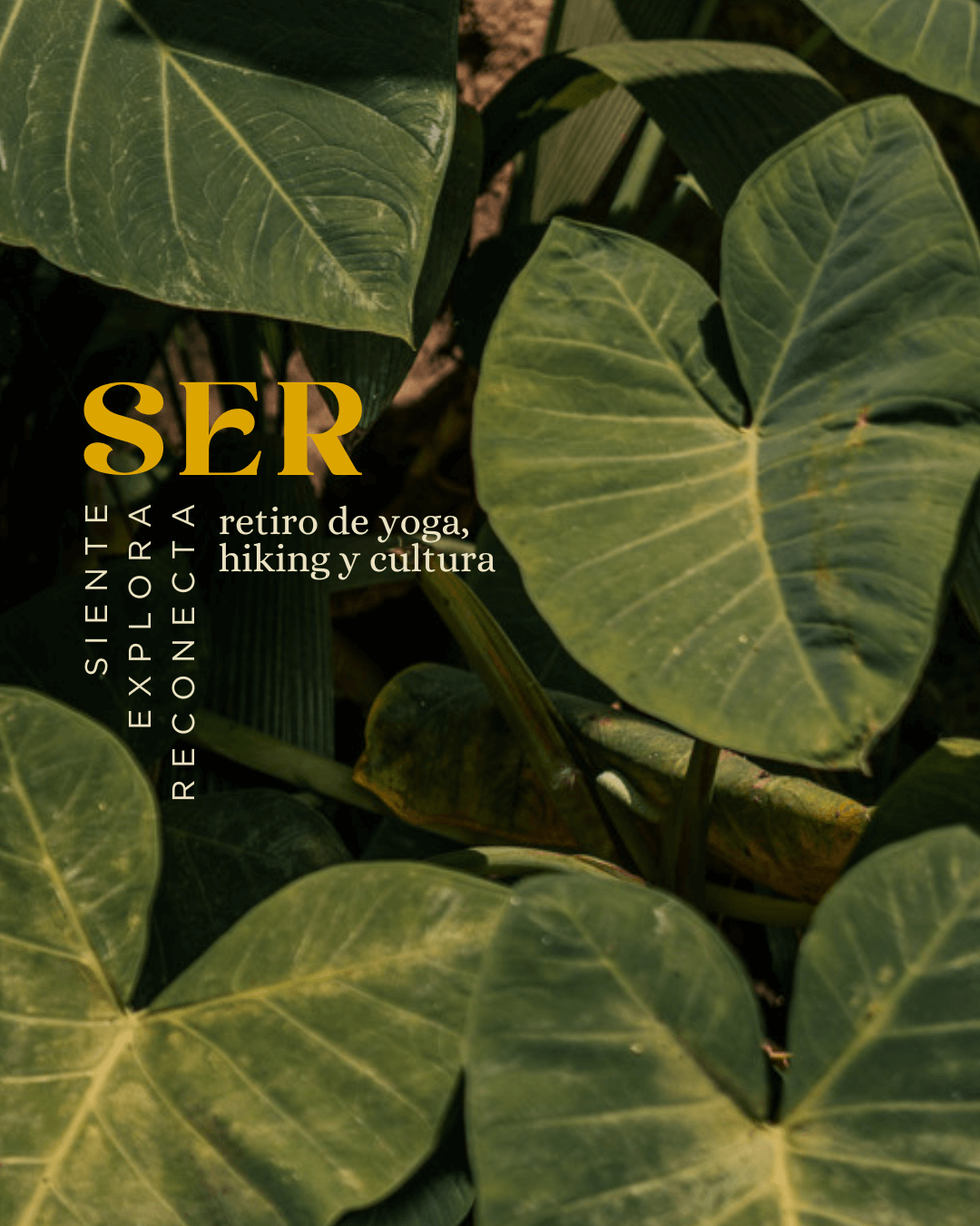 retiro de yoga, hiking y cultura