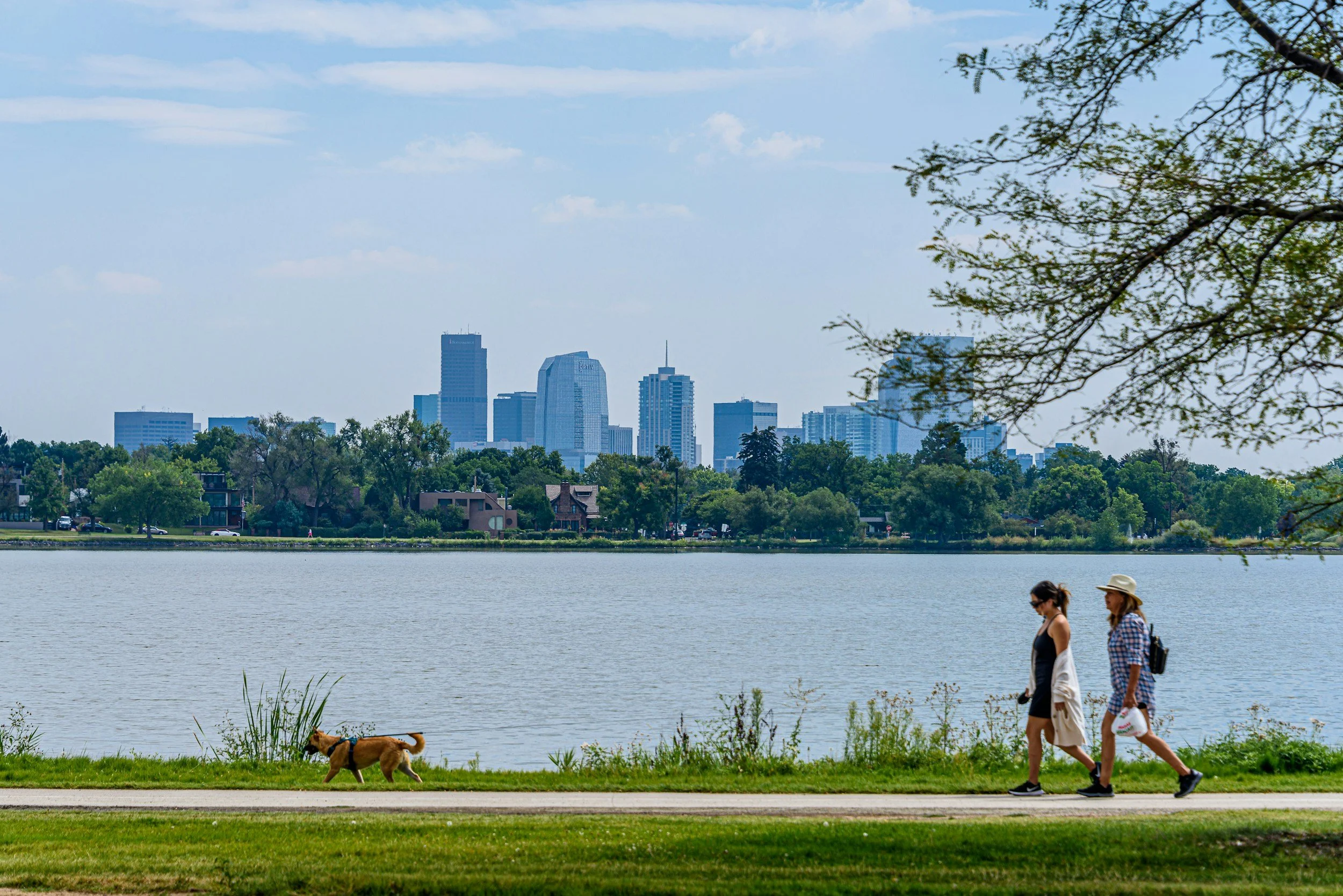 Sloan’s Lake Denver Real Estate: What to Know Before Buying Near One of Denver’s Most Loved Parks
