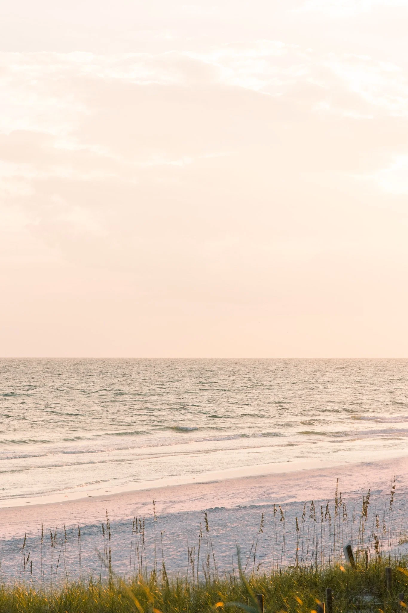 A beach scene during sunset with calm ocean waves, a light-colored sky with some clouds, and tall grasses in the foreground.