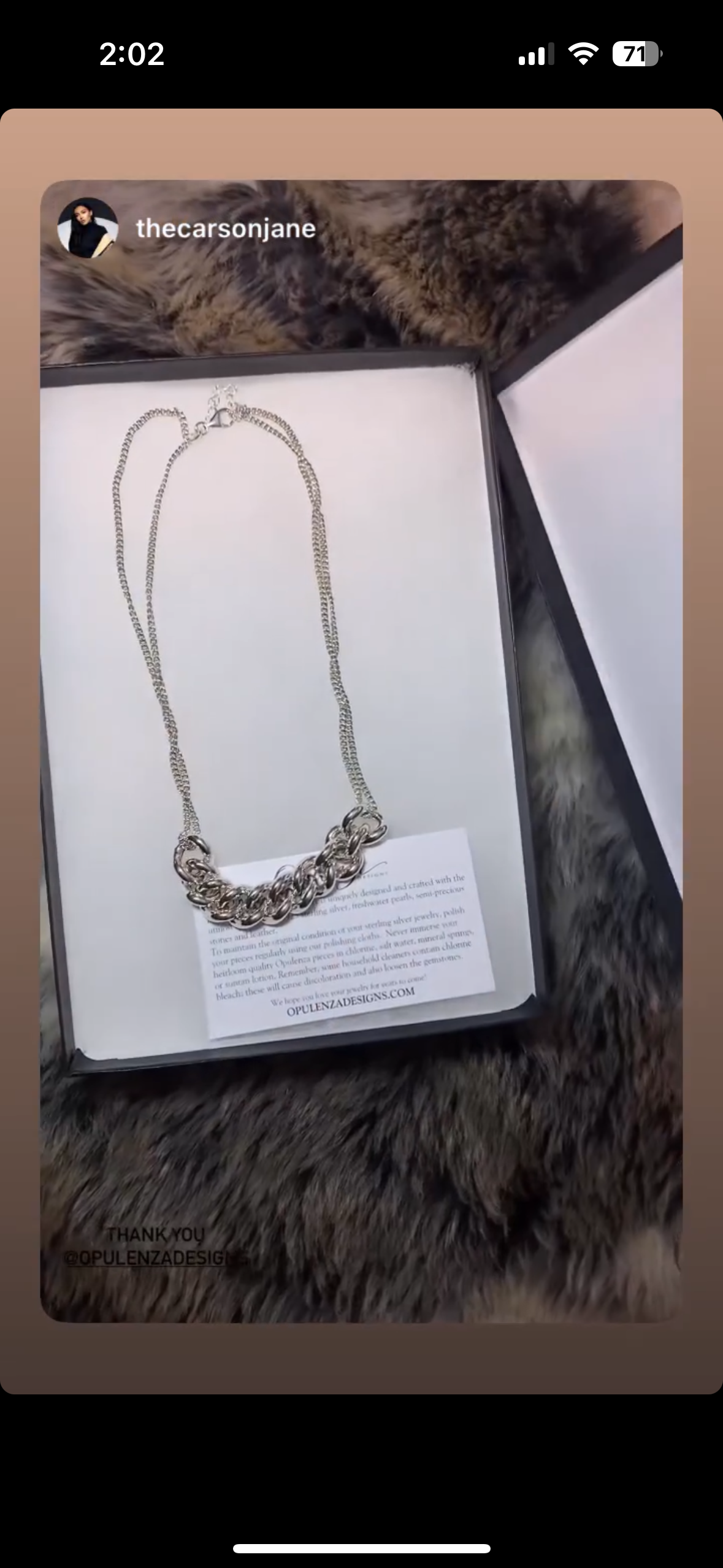 A silver chain necklace with large intertwined links is displayed in an open jewelry box. Behind the necklace, a cat with mixed brown and black fur is lying on a soft, textured surface. A small card with care instructions and a website address is placed at the bottom of the box.