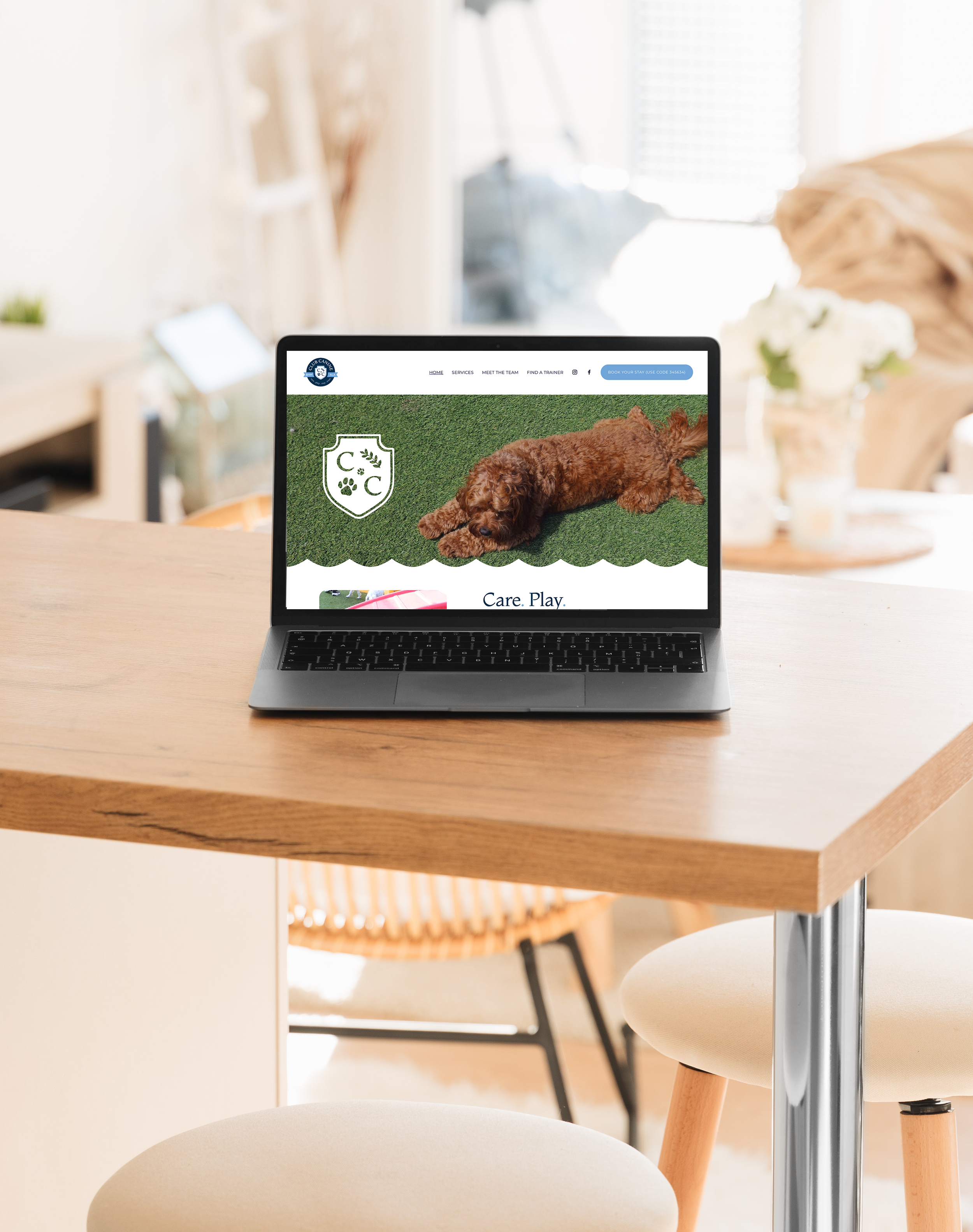 Laptop on wooden table showing a dog lying on grass with a crest logo and navigation menu for a pet care website, surrounding a room with sunlight