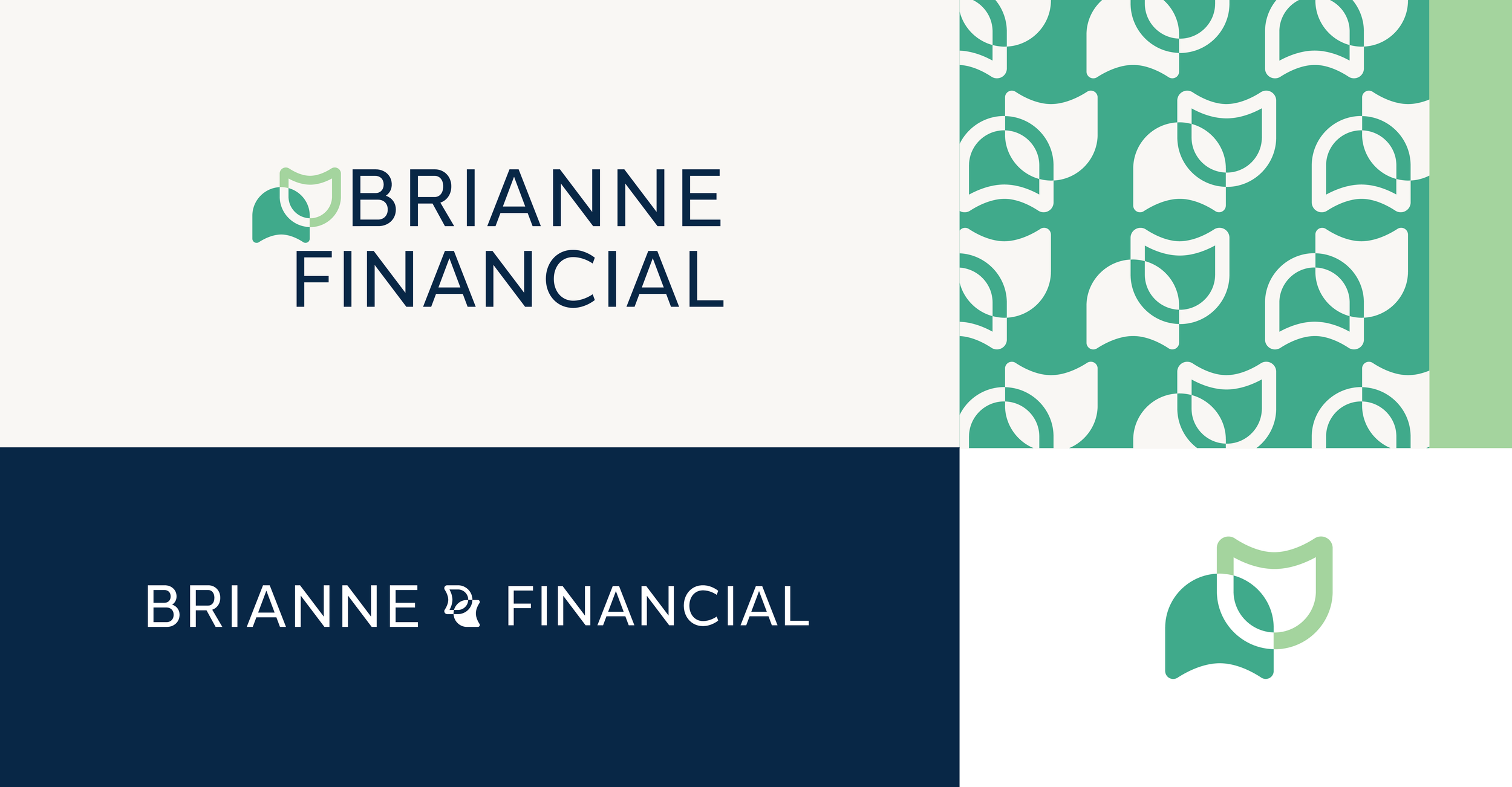 Branding image for Brianne Financial featuring the company logo with a green and white shield motif, displayed on a background with a repeating pattern of the logo design.