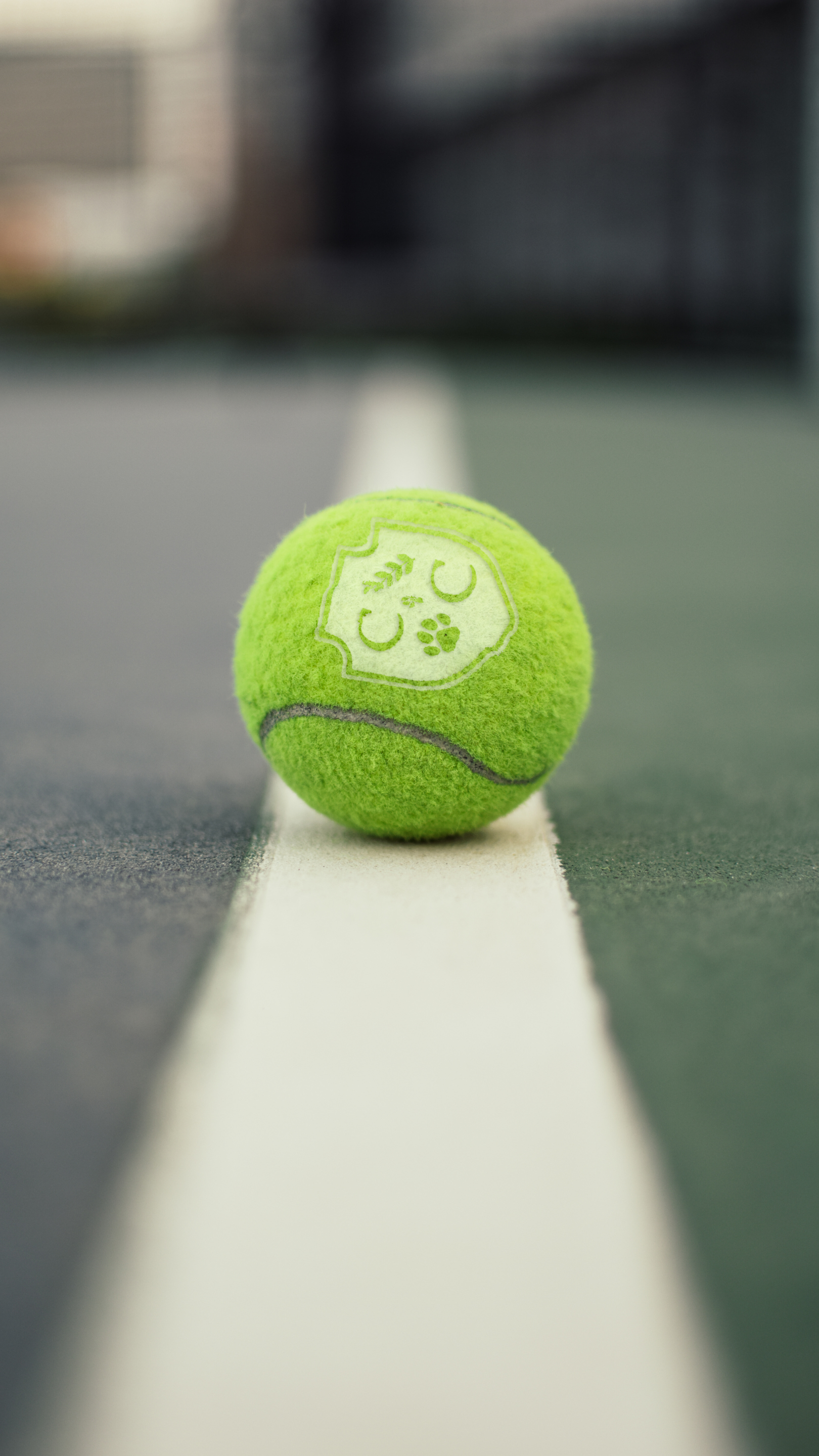Close-up of a bright green tennis ball resting on a white line on a tennis court.