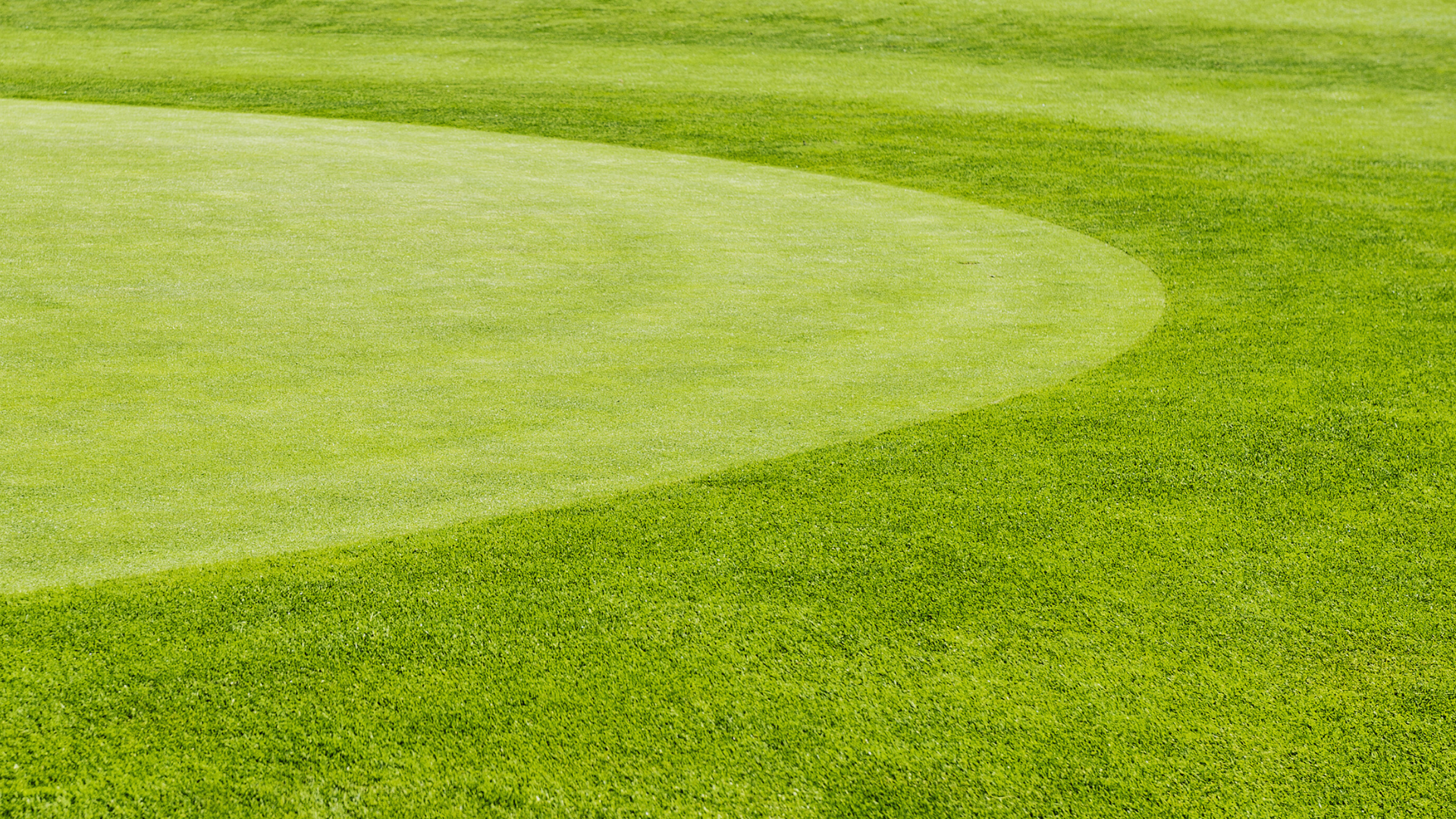 Close-up view of a well-maintained green golf course, showing a putting green with surrounding rough grass.