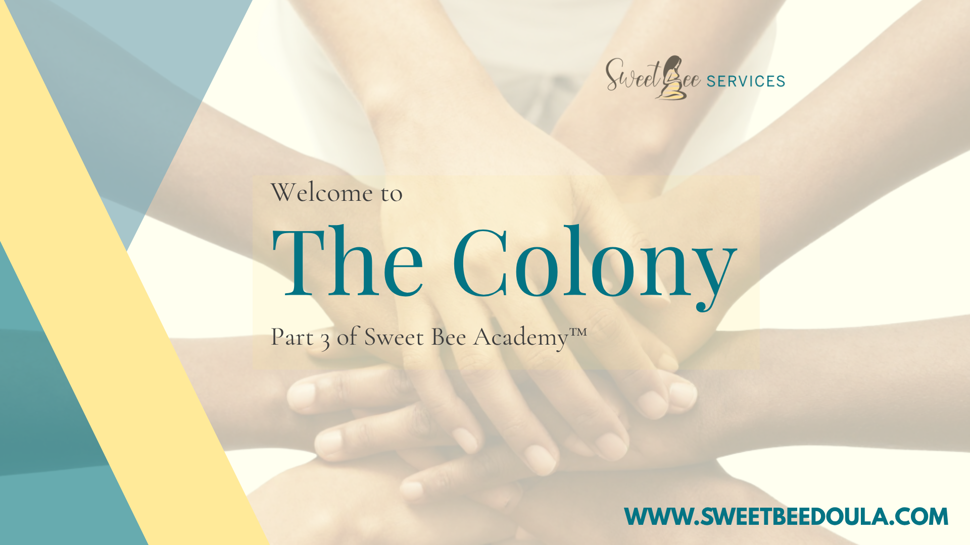 The image shows a promotional webpage for Sweet Bee Services, featuring a background photo of several hands stacked together, symbolizing teamwork. The text on the page reads 'Welcome to The Colony, Part 3 of Sweet Bee Academy™,' and the URL at the bottom is www.sweetbeedoula.com.