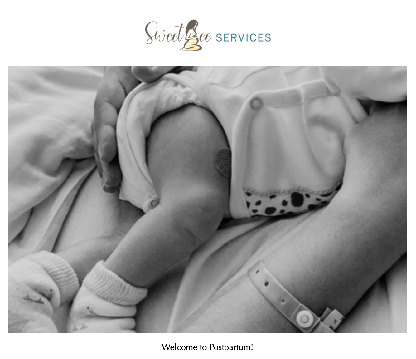 Screenshot 2026-01-23 at 7.54.24 PM.png