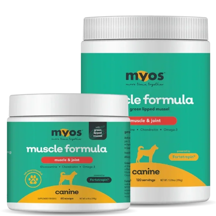 Two containers of MYOS Muscle Formula supplement for dogs, with green-lipped mussel, glucosamine, chondroitin, and omega-3, designed to support muscle and joint health in canine pets.