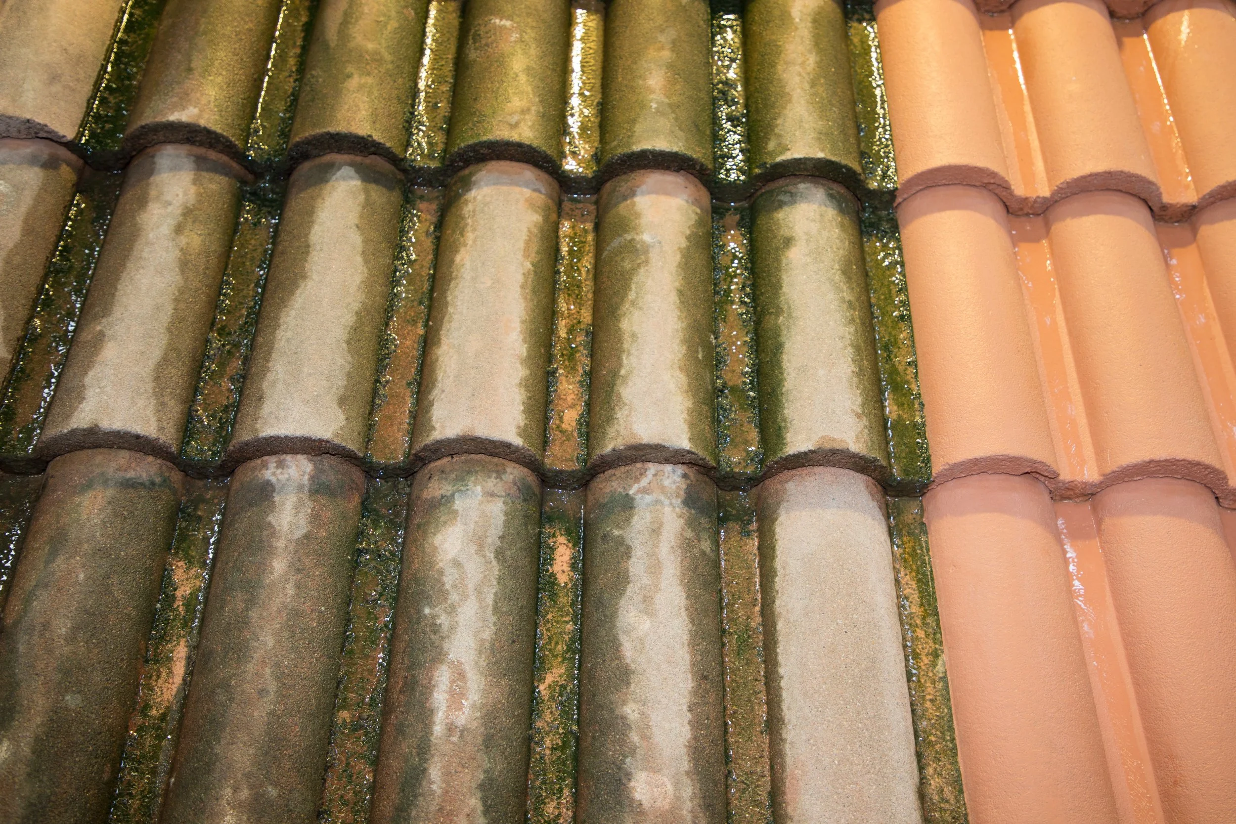 Why Roof Cleaning is Essential Before Oregon’s Rainy Season