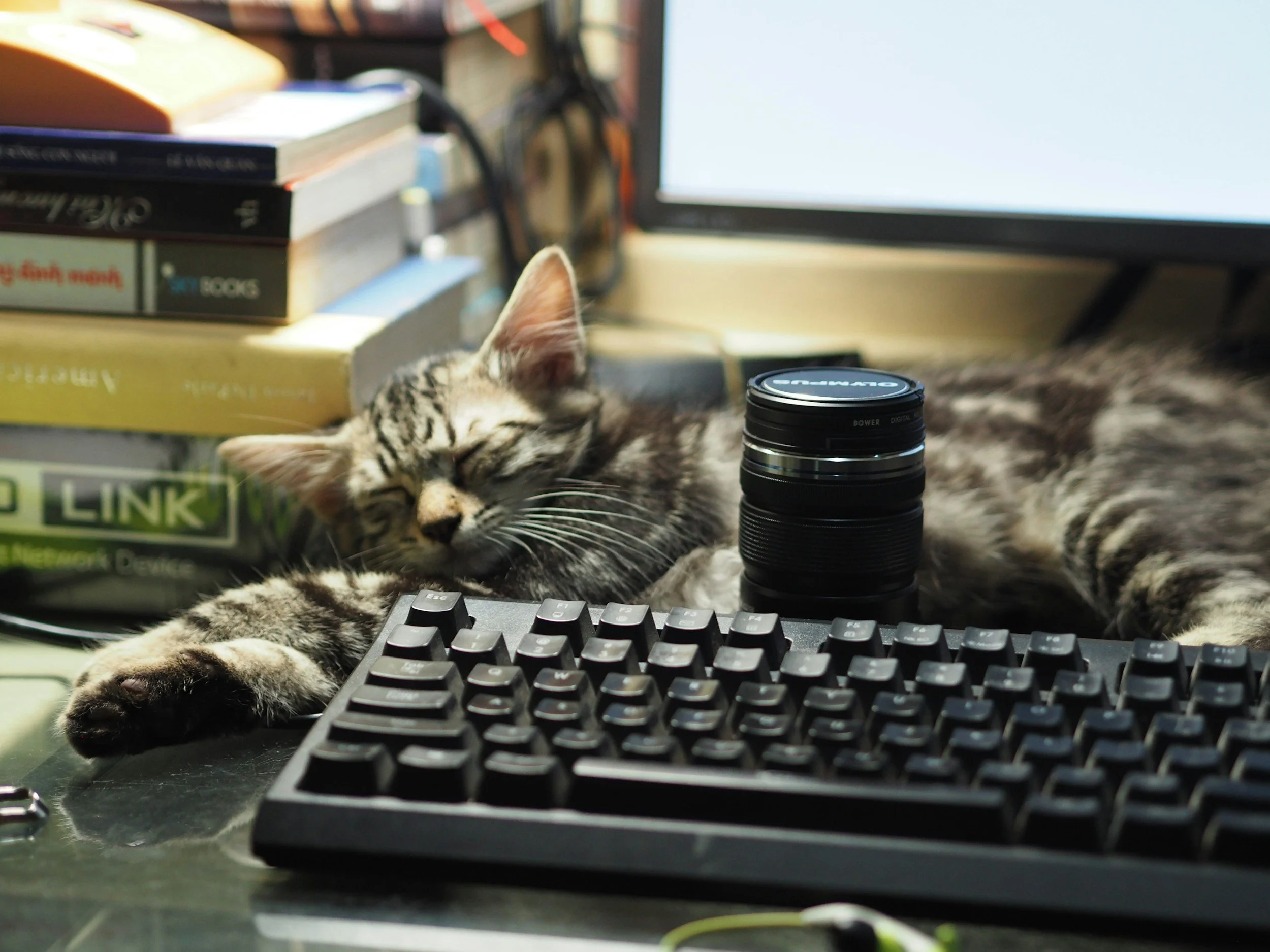 tan cat with black stripes napping behind a computer keyboard on a desk