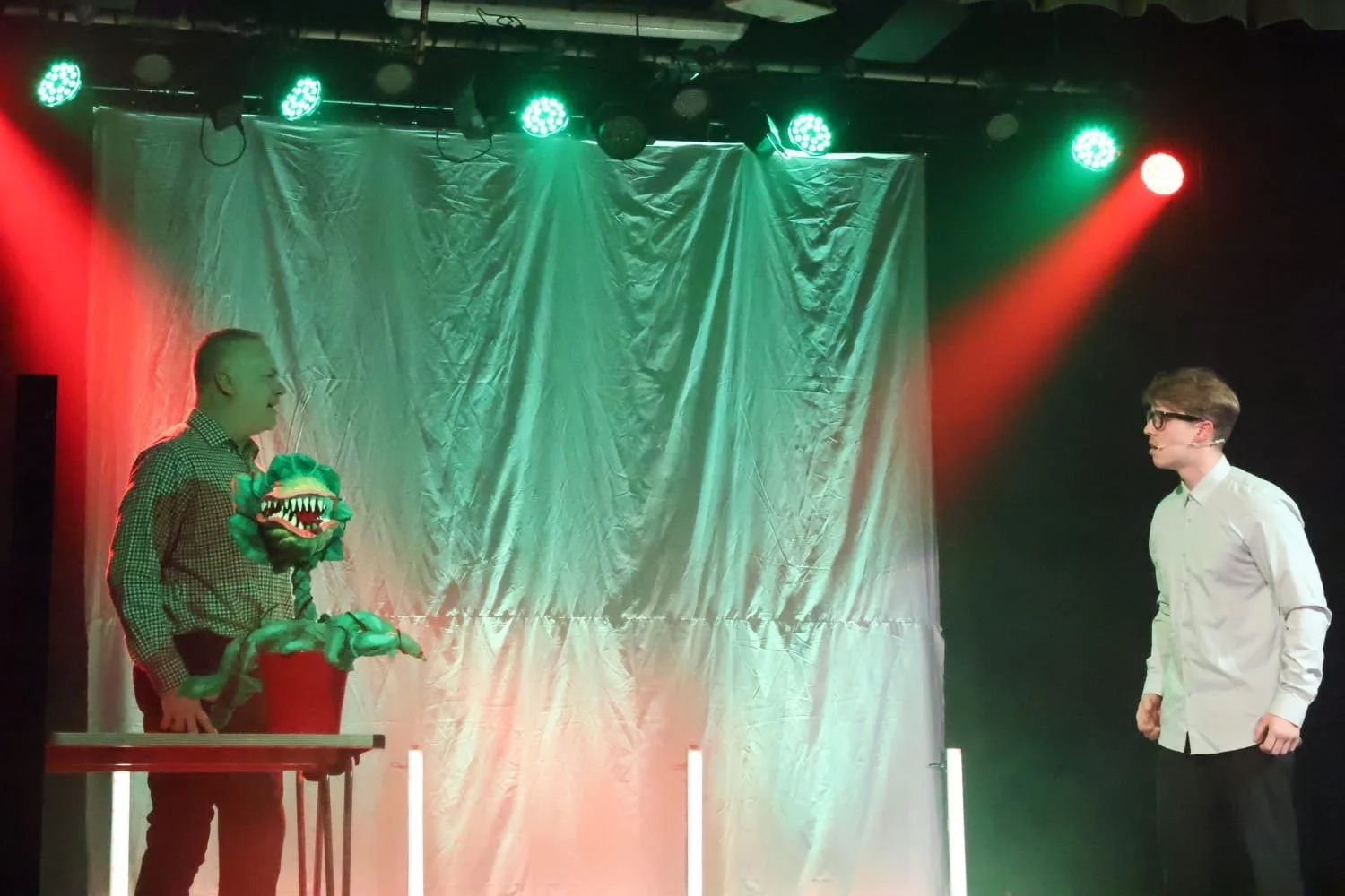 A decorative plant with a face and teeth on the table., facing a young man with glasses and a white shirt, on a stage with green and red lighting and a silver backdrop.