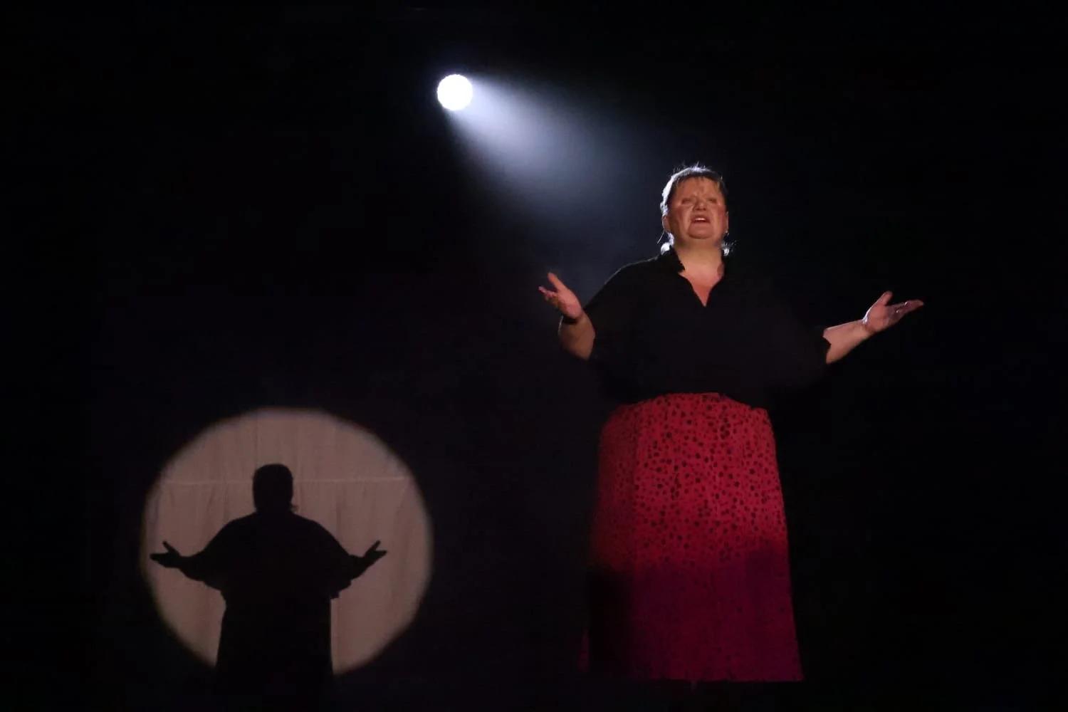 A woman performs on a dark stage, illuminated by a spotlight, with a shadow of her against a wall in the background.