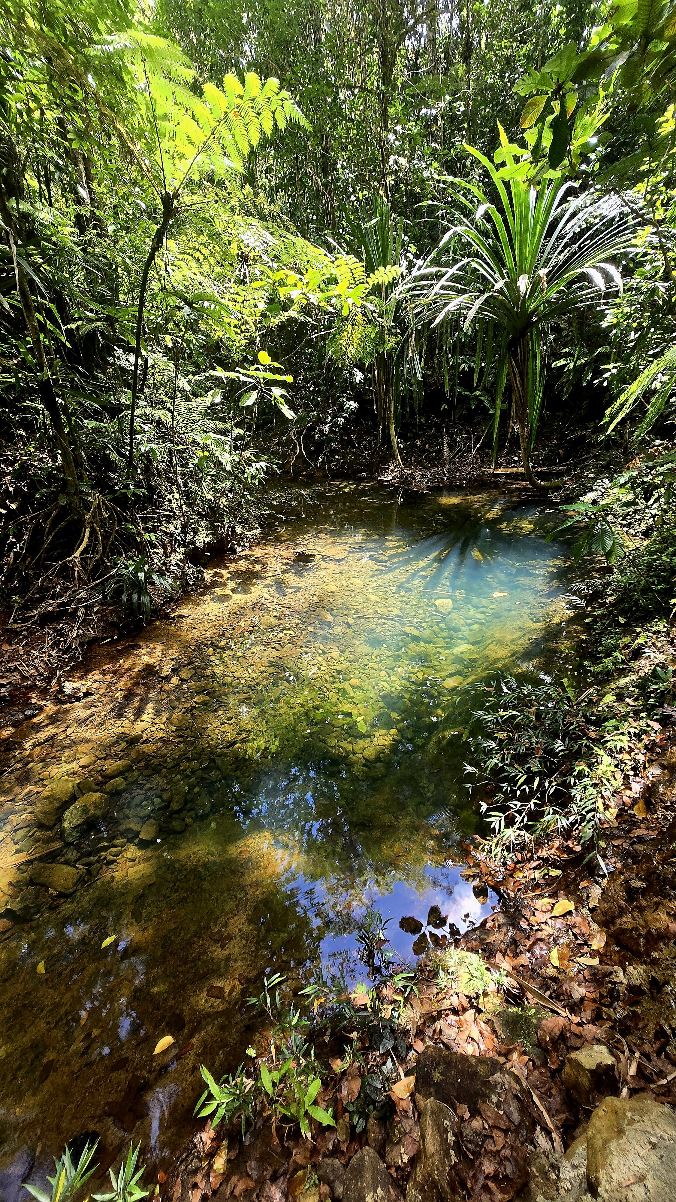 Rural Tourism from a Comparative Perspective