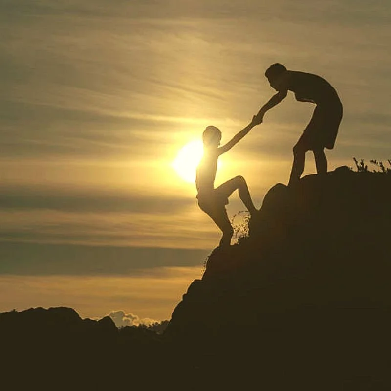 1:1 AI Coach Custom Plan Review (with Clinician)