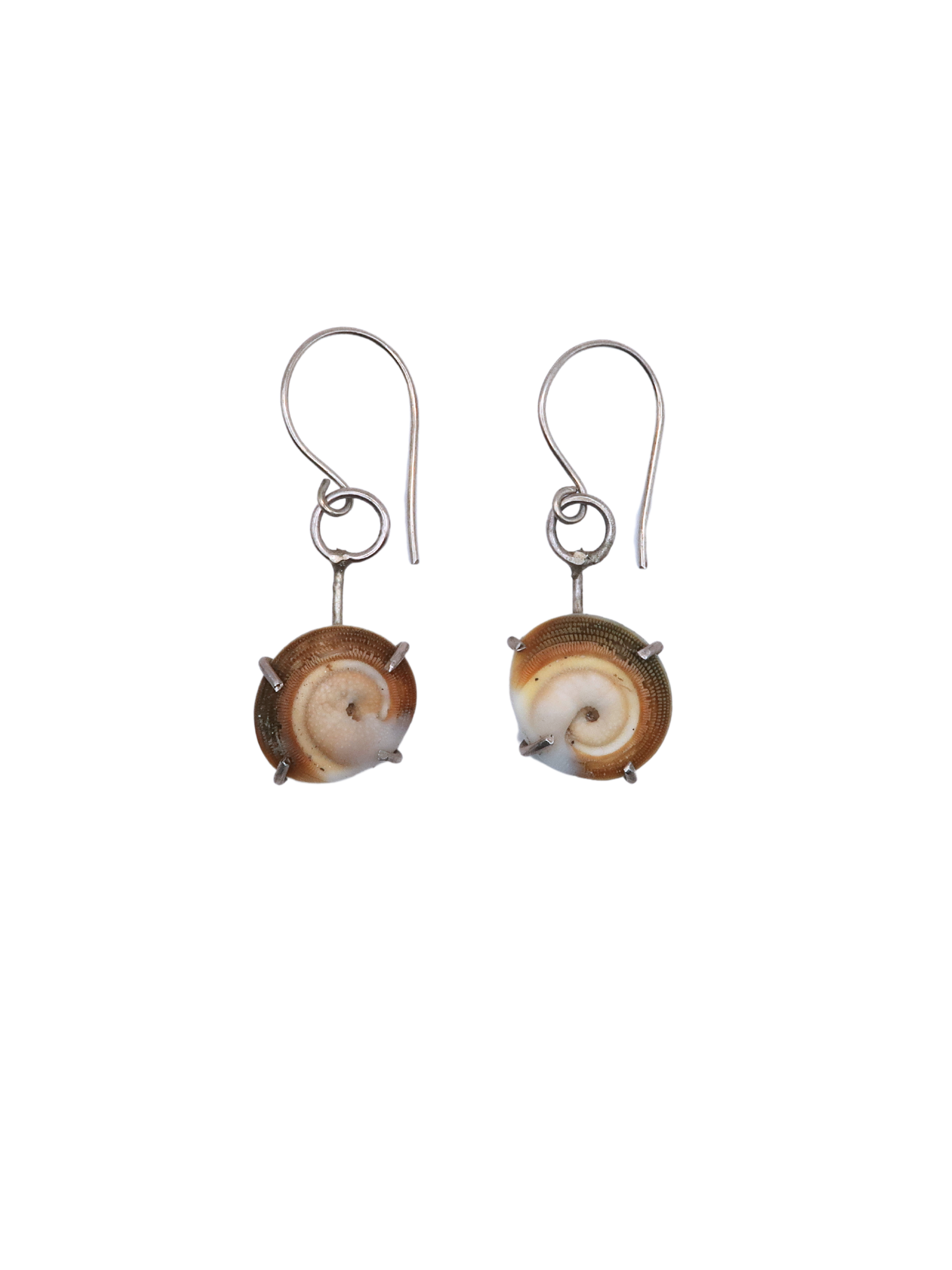 Shell Prong Earrings (SOLD OUT)