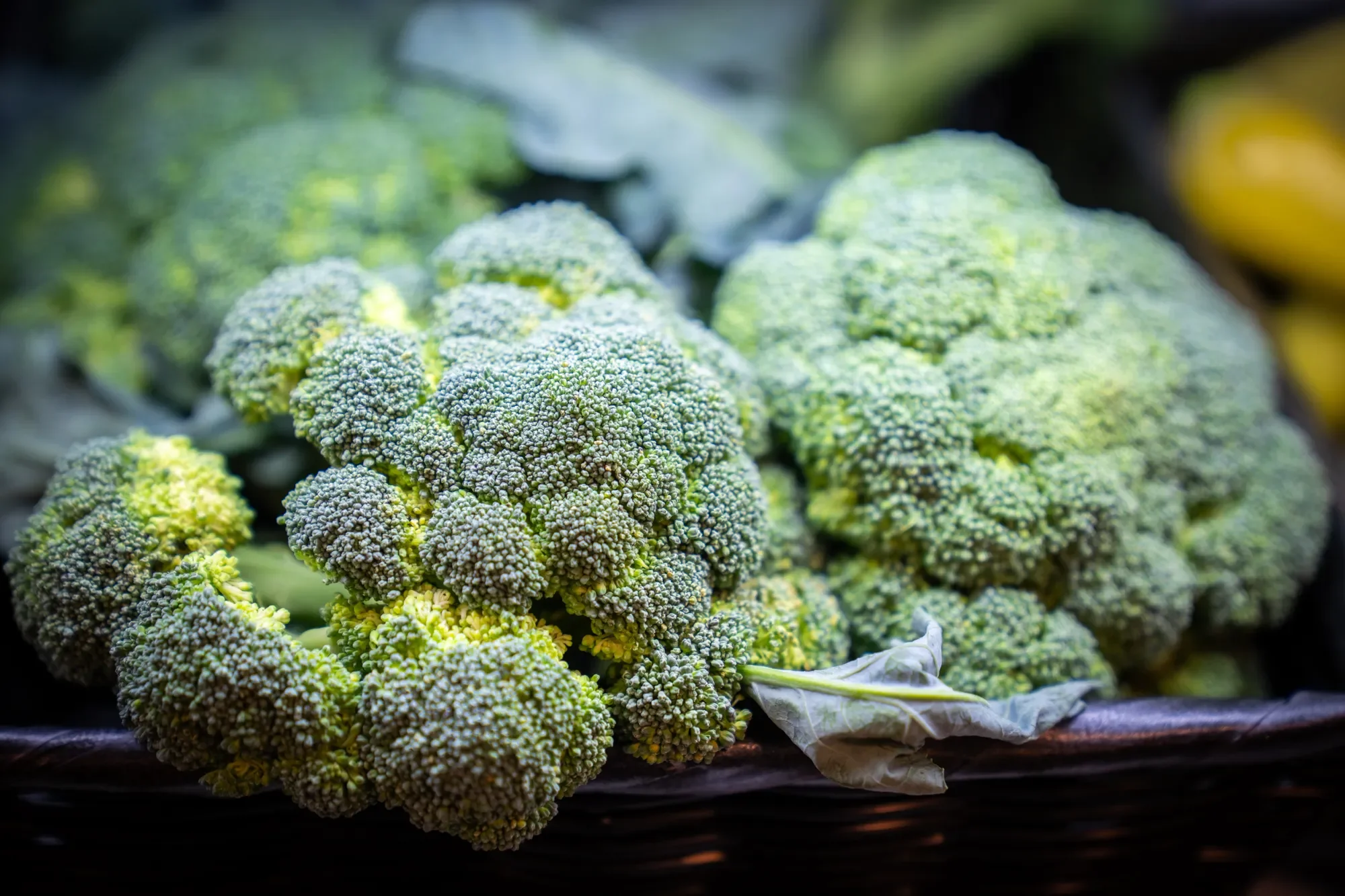 Hancock Market Products (15).webp