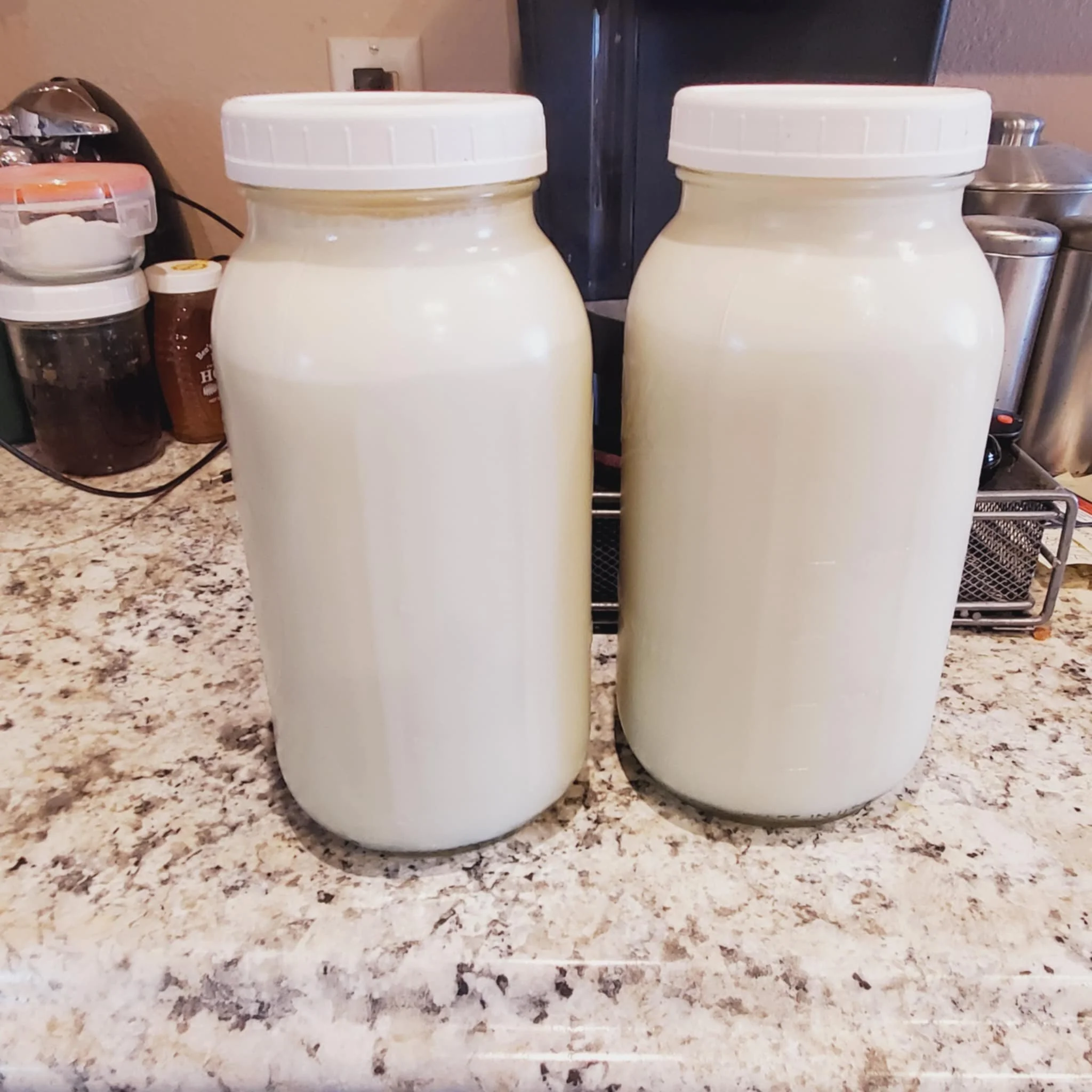 Two large jars filled with a white liquid, likely milk, sitting on a granite countertop in a kitchen.