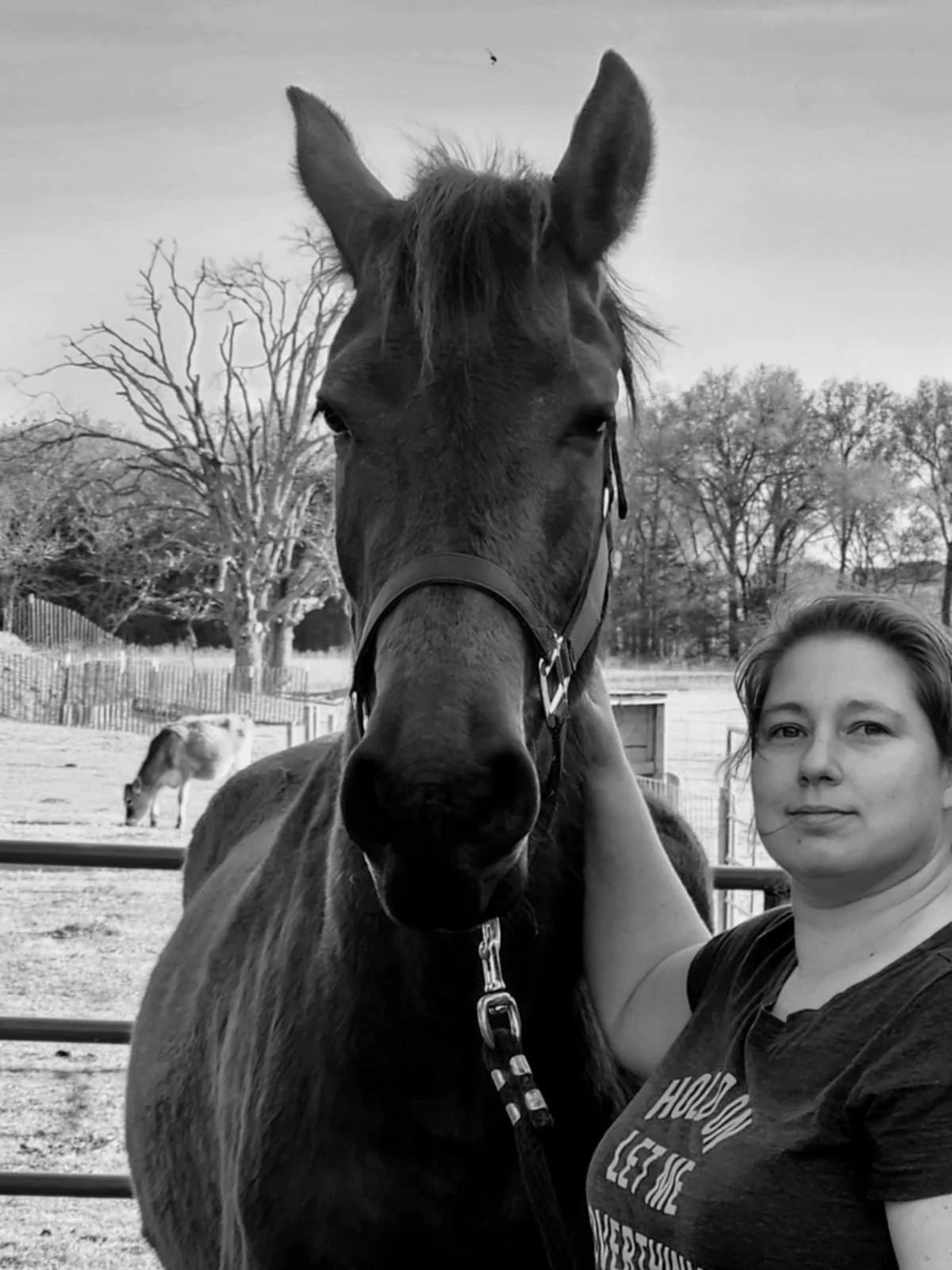 A woman standing next to a large horse in a fenced outdoor paddock, with trees and a smaller horse in the background
