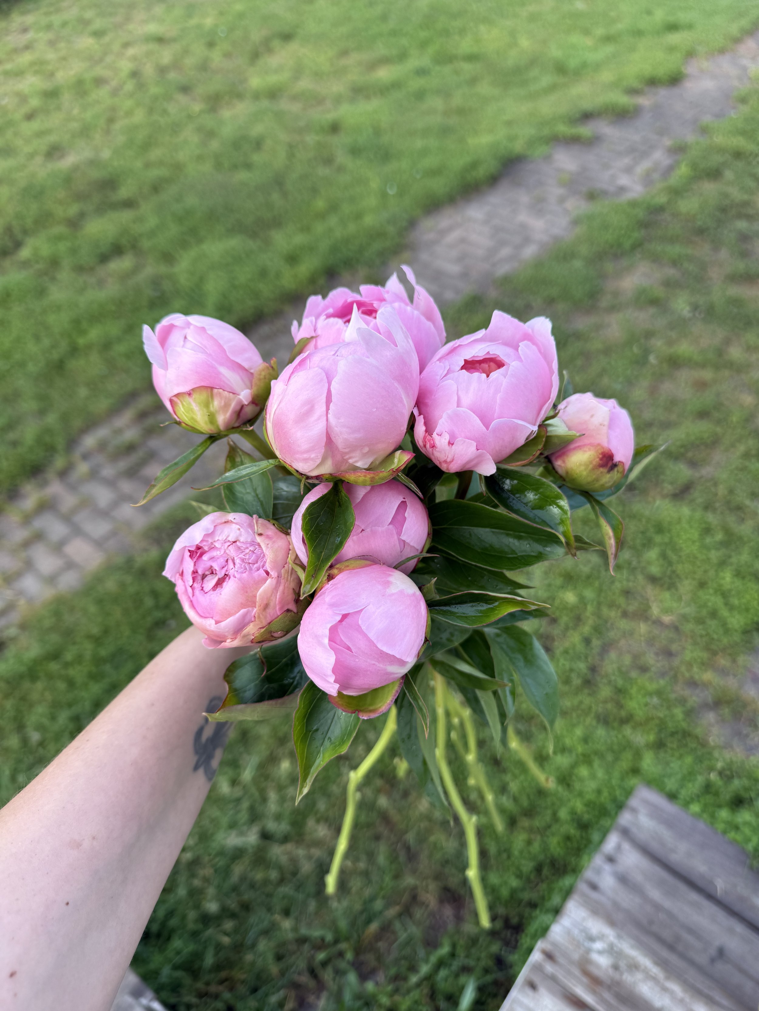 IMG_6099.jpg