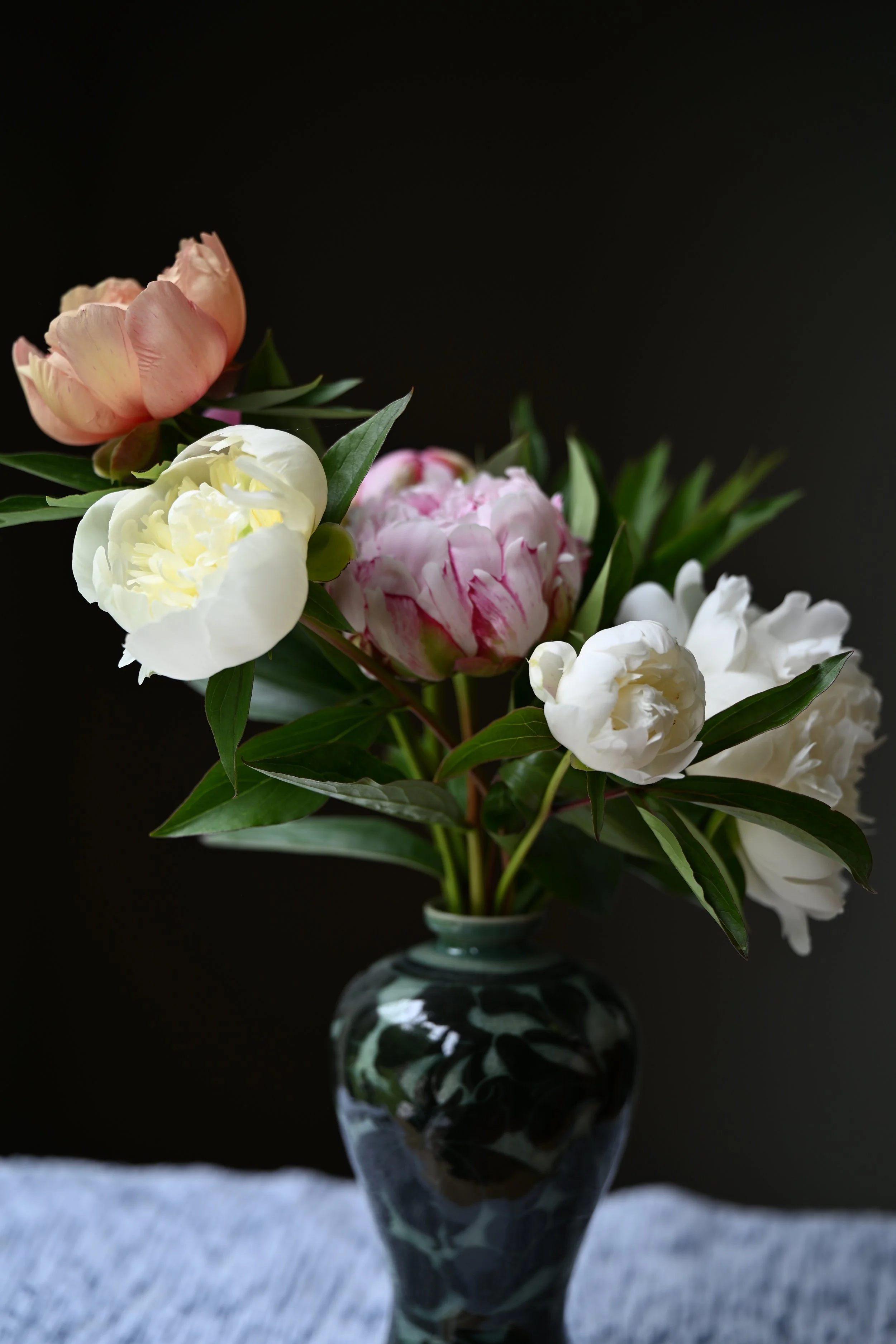DSC_2950.JPG