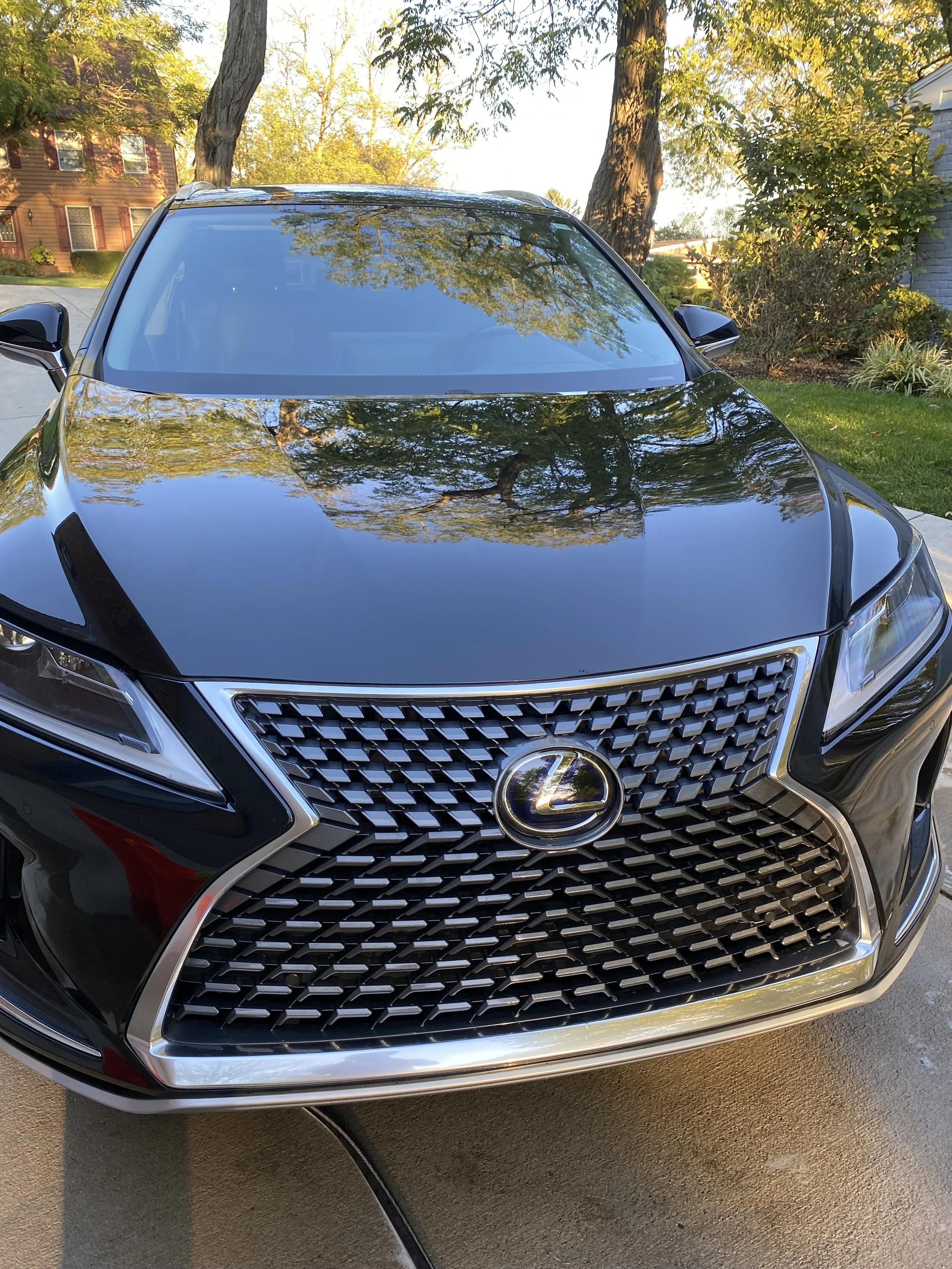 Black Lexus SUV parked on driveway on a sunny day with trees and houses in the background.