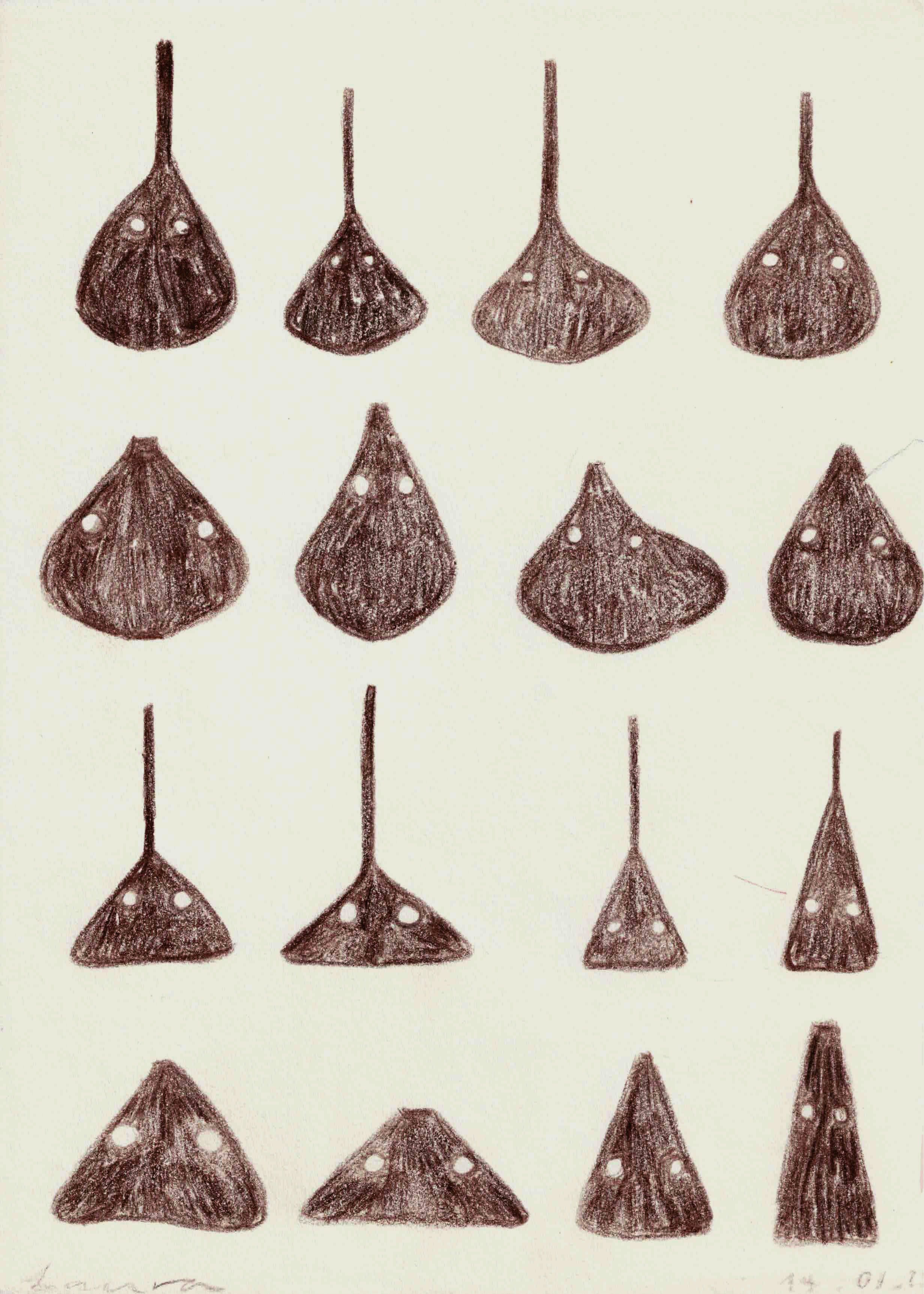 Form studies of Tupis, pencil on paper, 2024