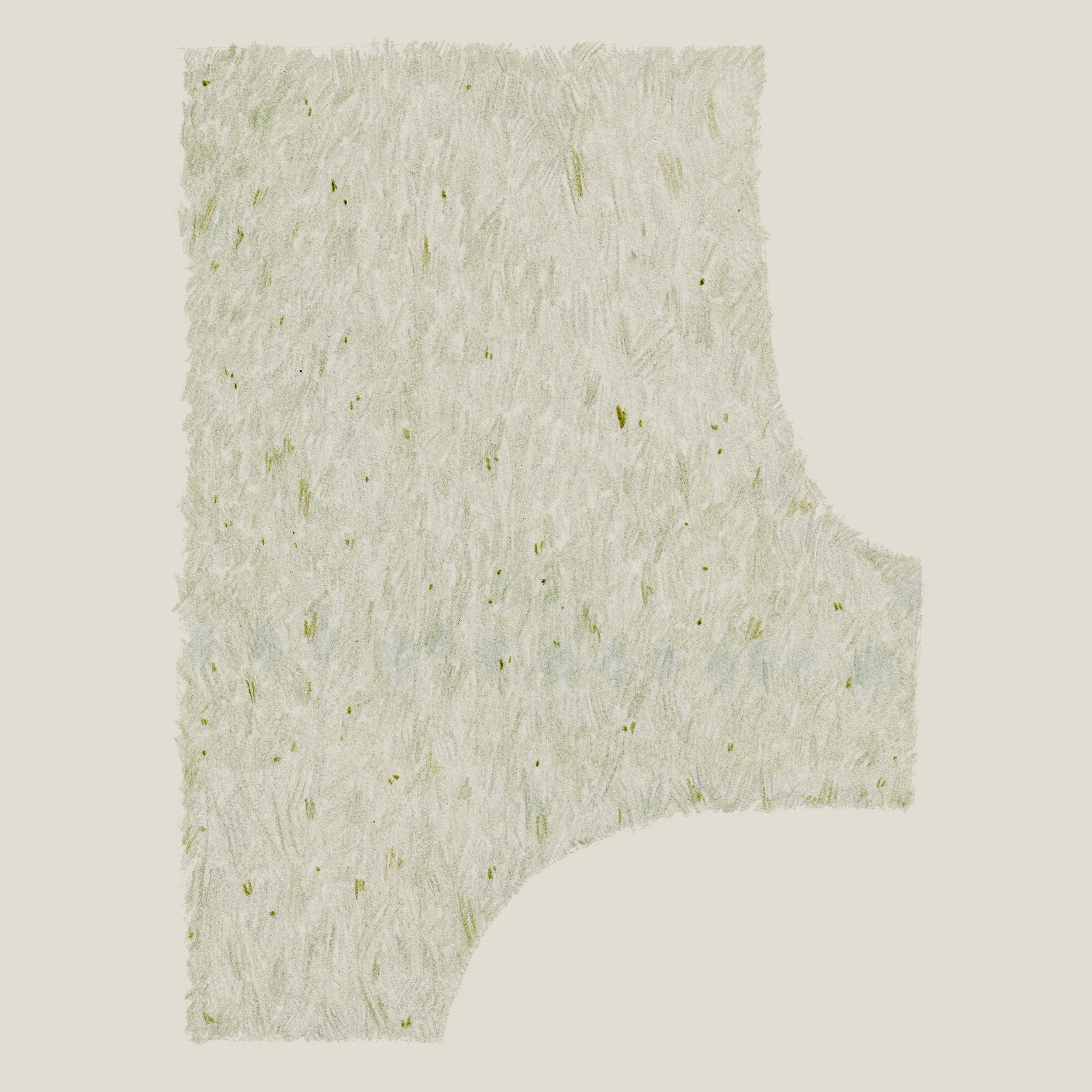 Garden/ negative space, pencil on paper, 2022