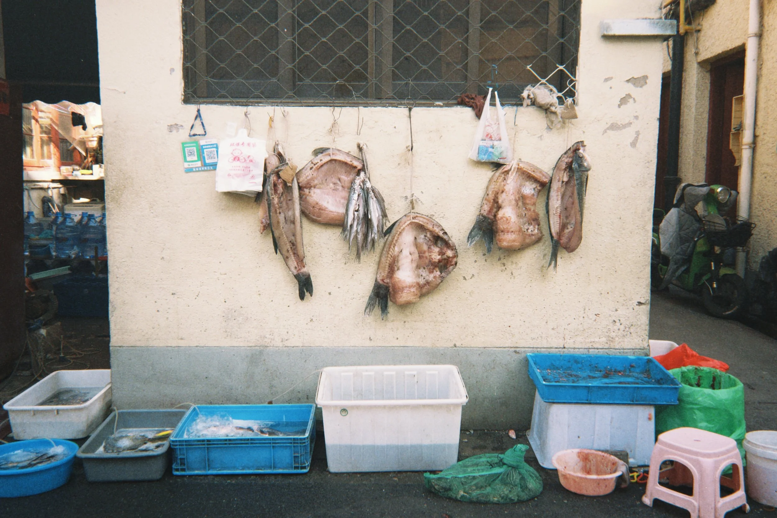 fqs 2025-01-17 144729.729_Original_Original.jpg