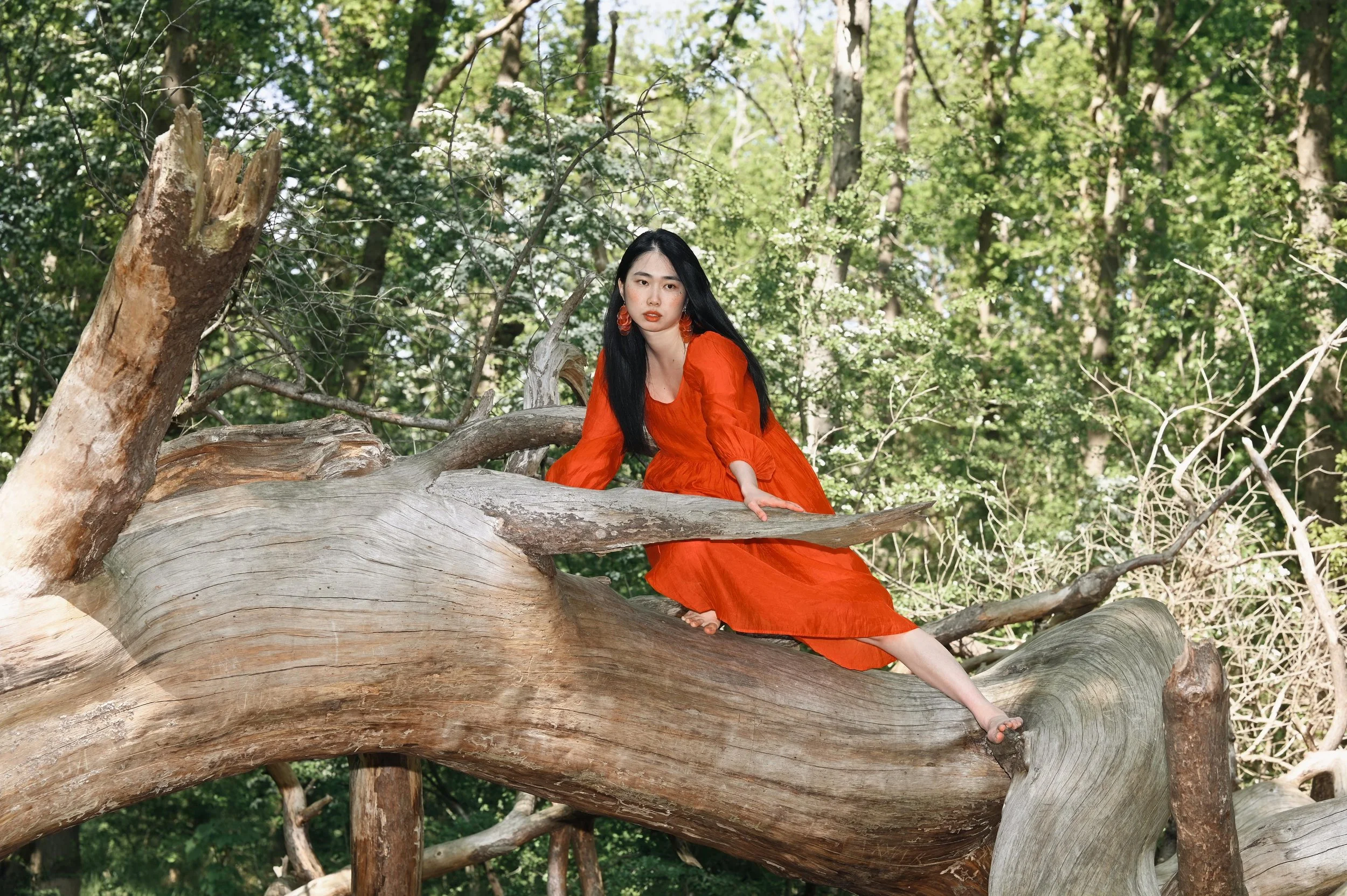 8c36bc42-fe90-499a-85f3-309f2baef49c 5.jpg