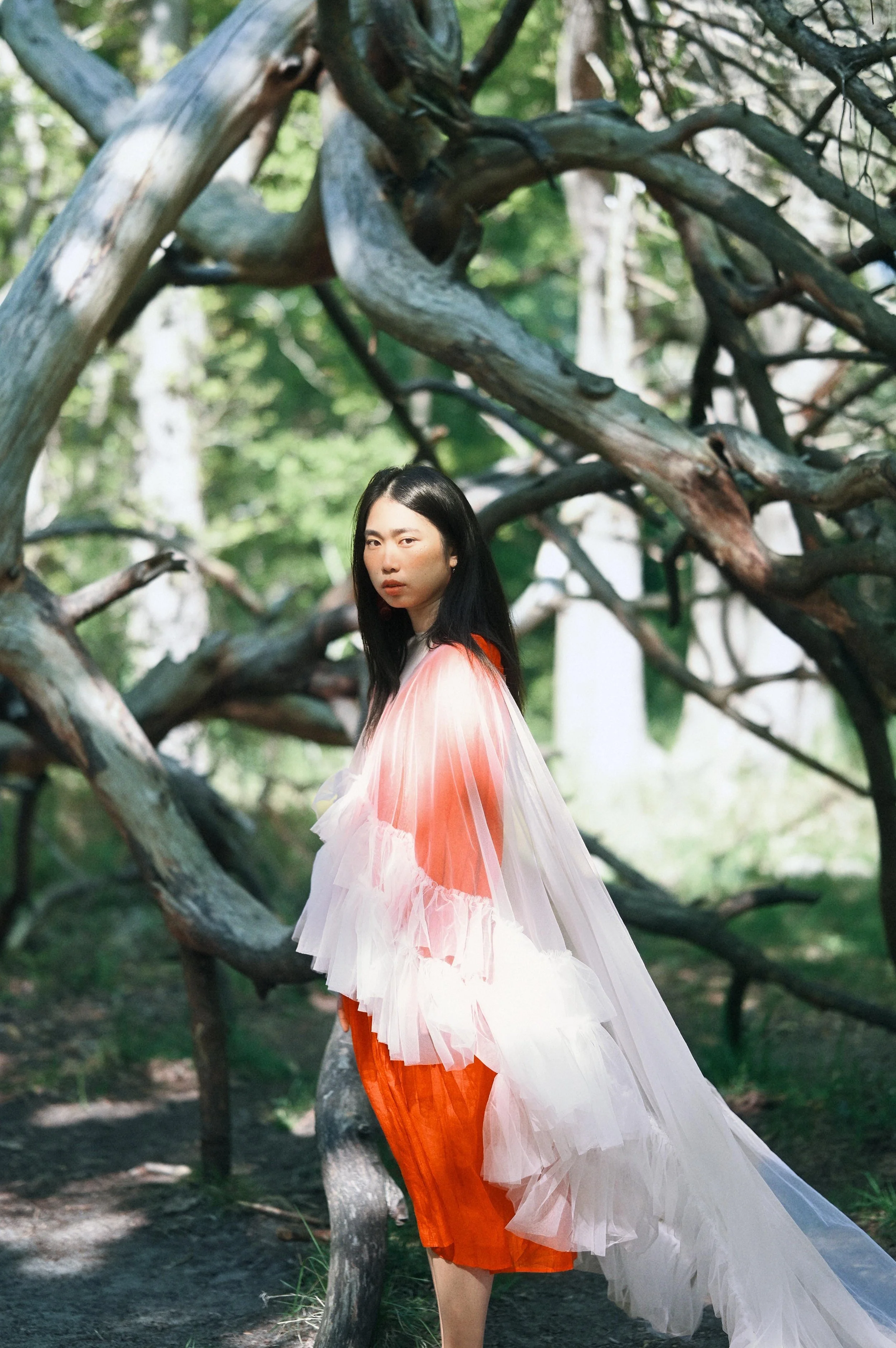 f476ccc7-a6c9-4411-a313-061917560e03 5.jpg