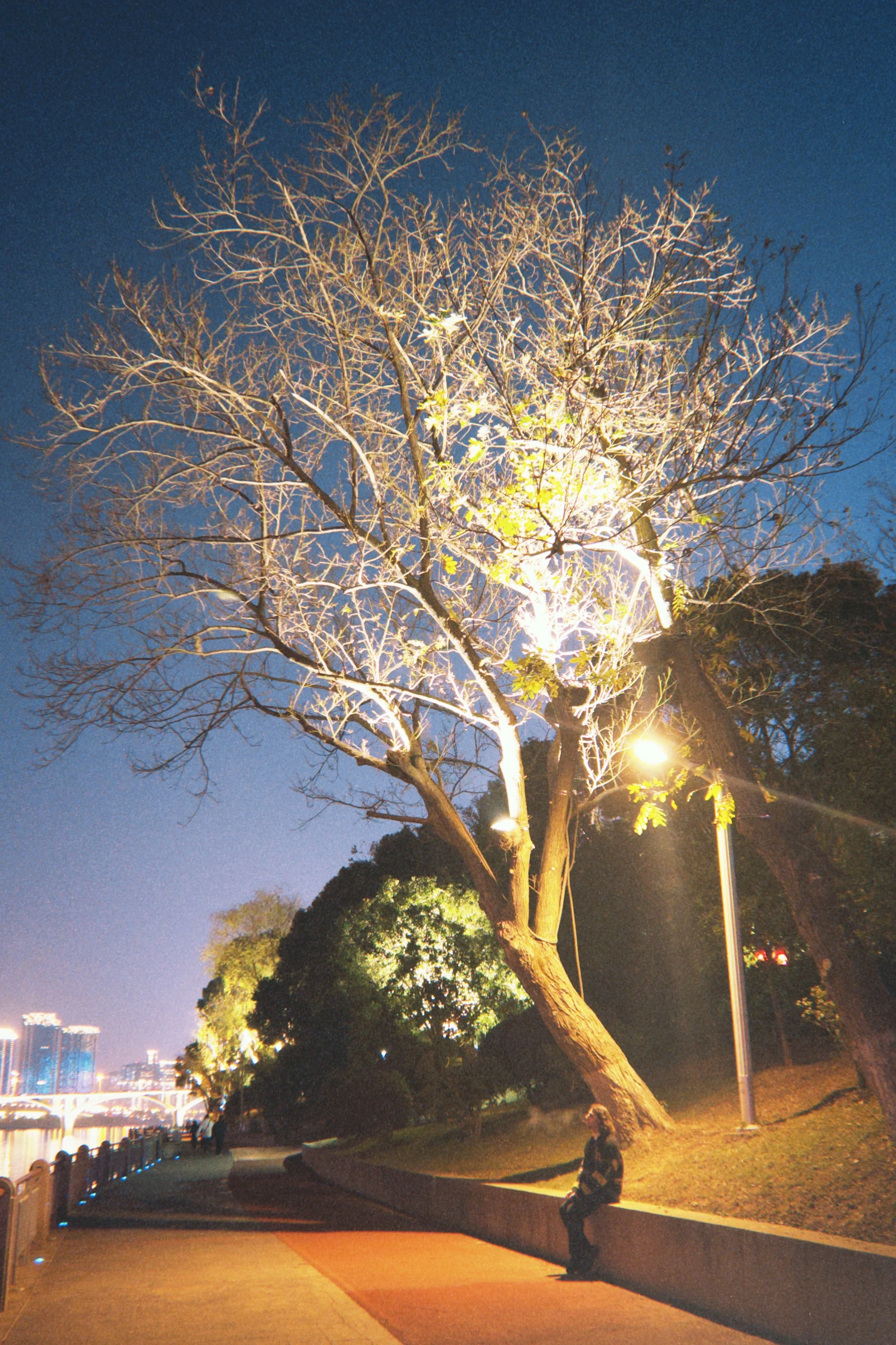 fqs 2025-01-11 183959.397_Original_Original.jpg