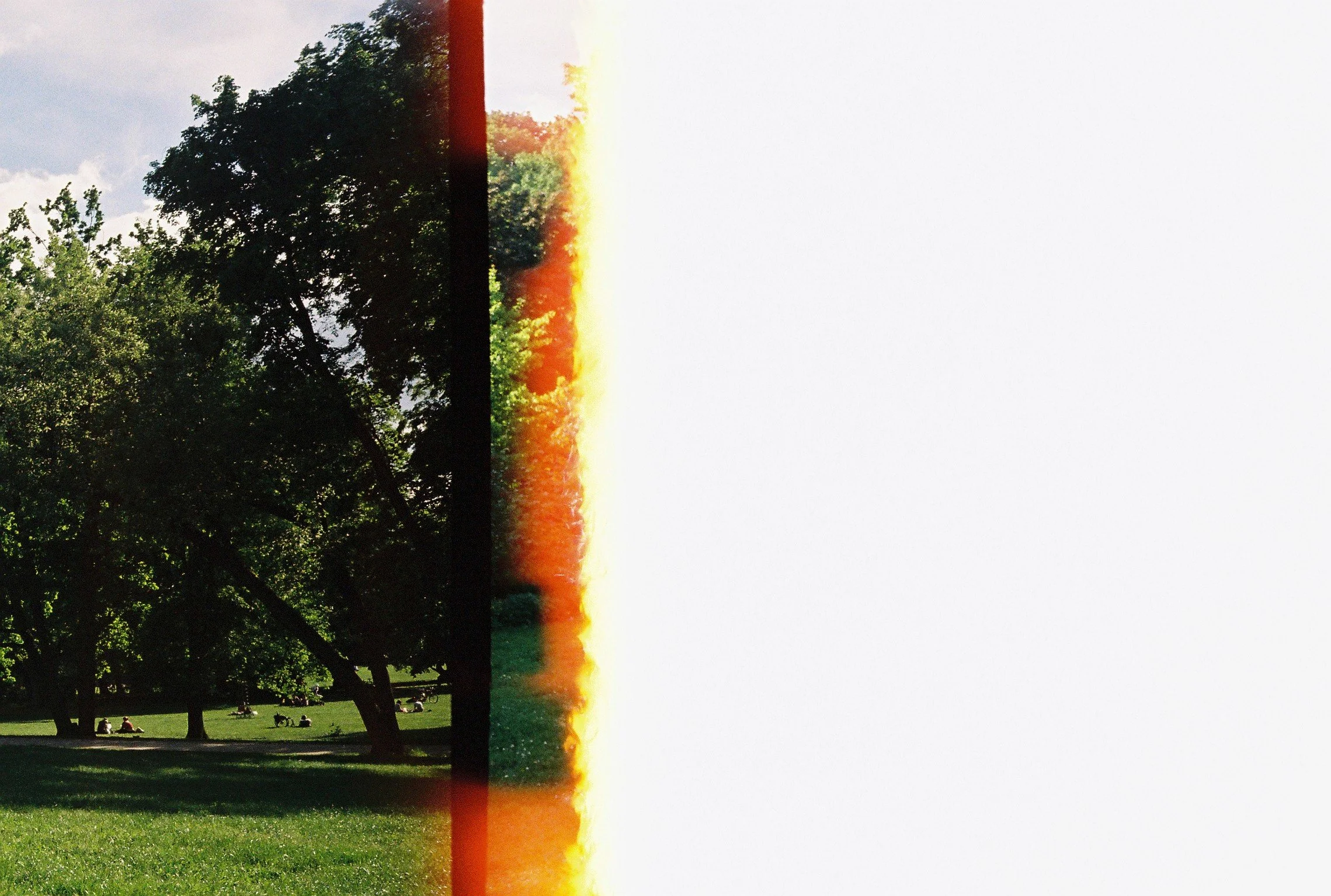 IMG_9395_Original 3.jpg