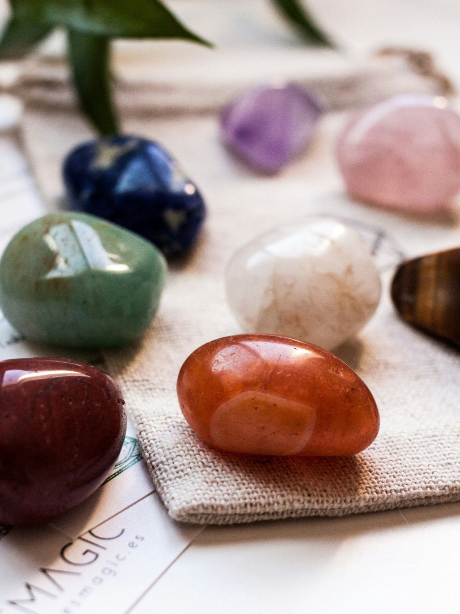 3 SESSION CHAKRA SERIES: ALIGNING YOUR HEALING POWER WITH YOUR CHAKRAS