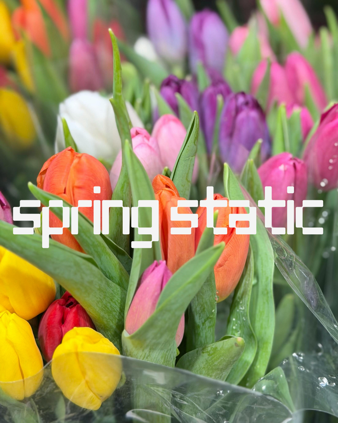 Spring Static