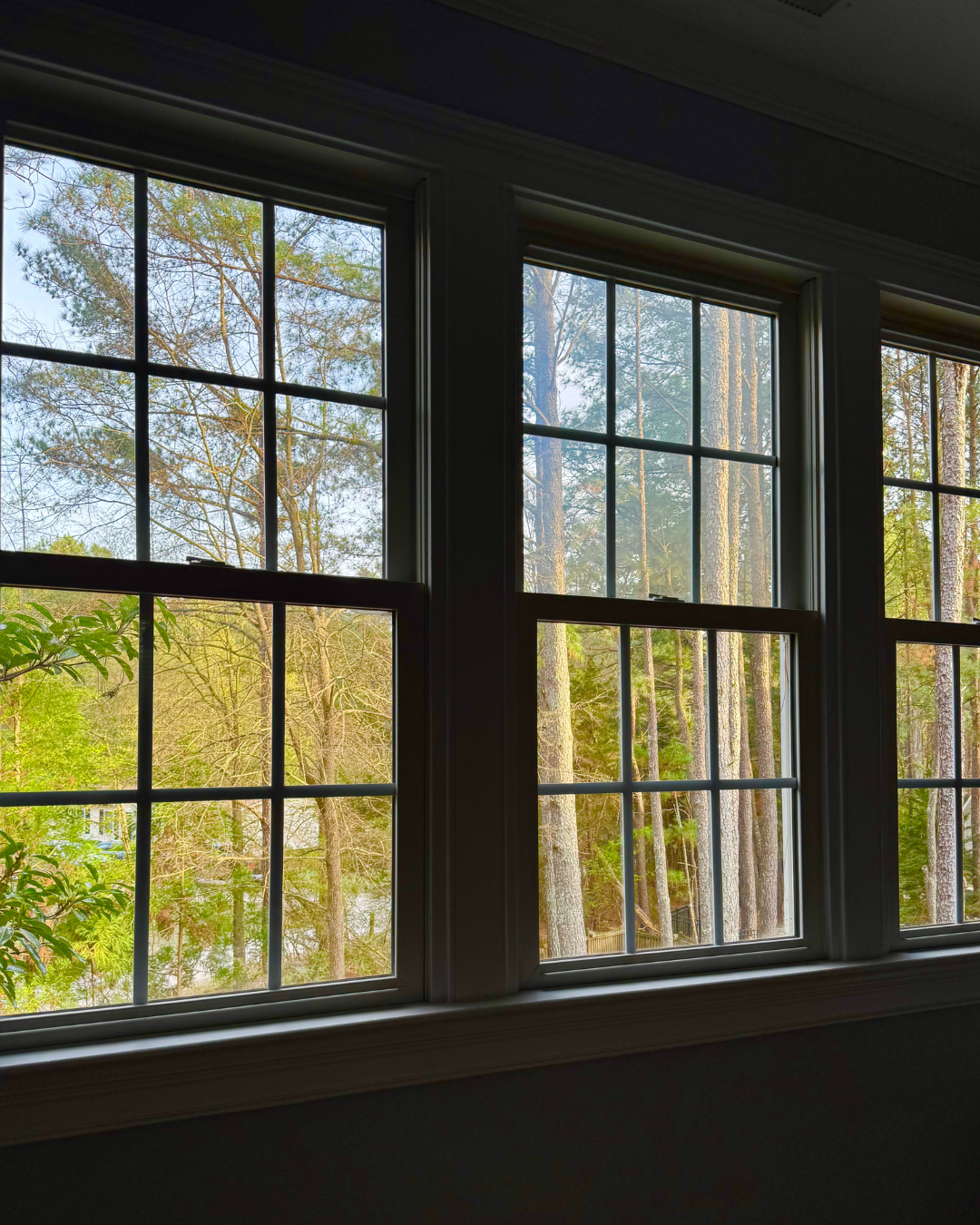 A Different Kind of Spring Break