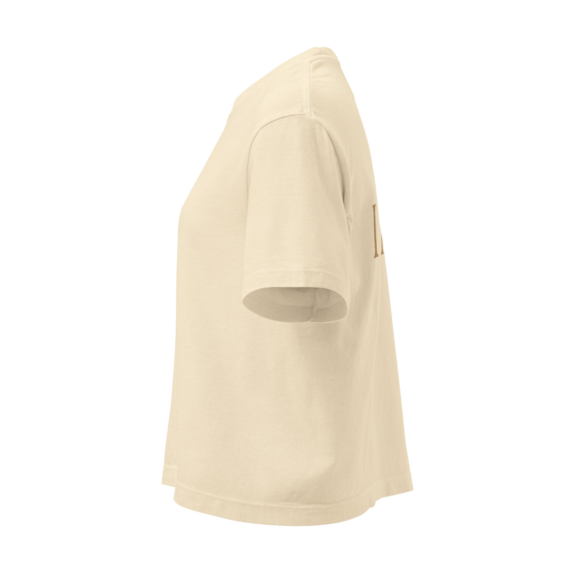 womens-heavyweight-boxy-t-shirt-ivory-left-6875273c13f65.jpg
