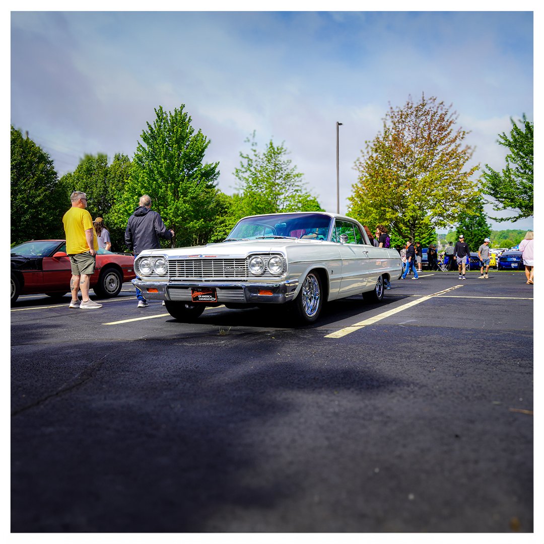 Impala-3.jpg