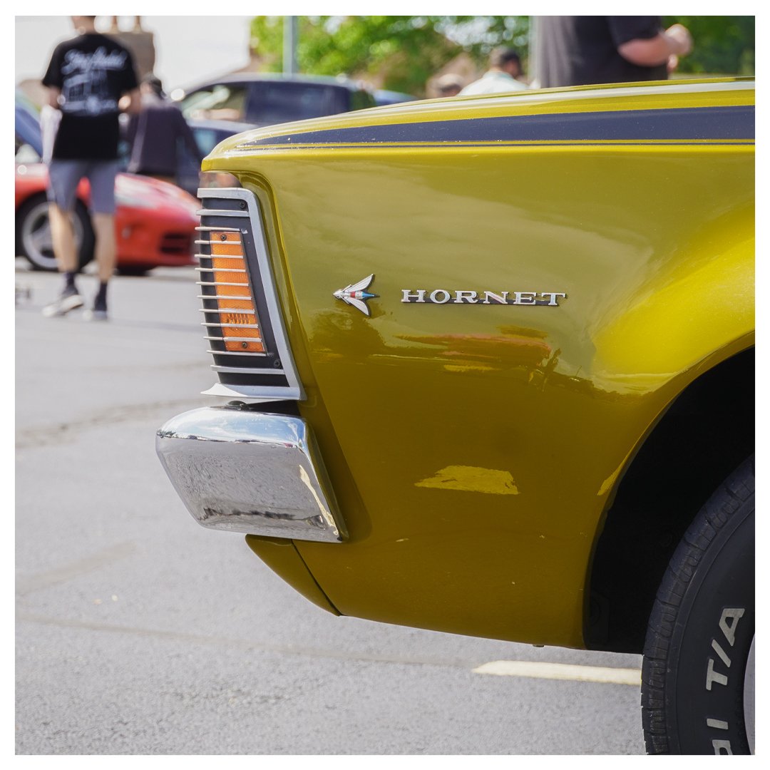 Hornet-3.jpg