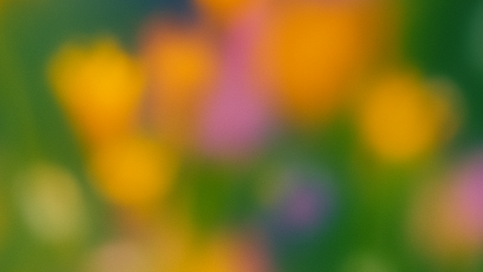 Desana launch 'The Age of On Demand' with two IRL events in San Francisco and London