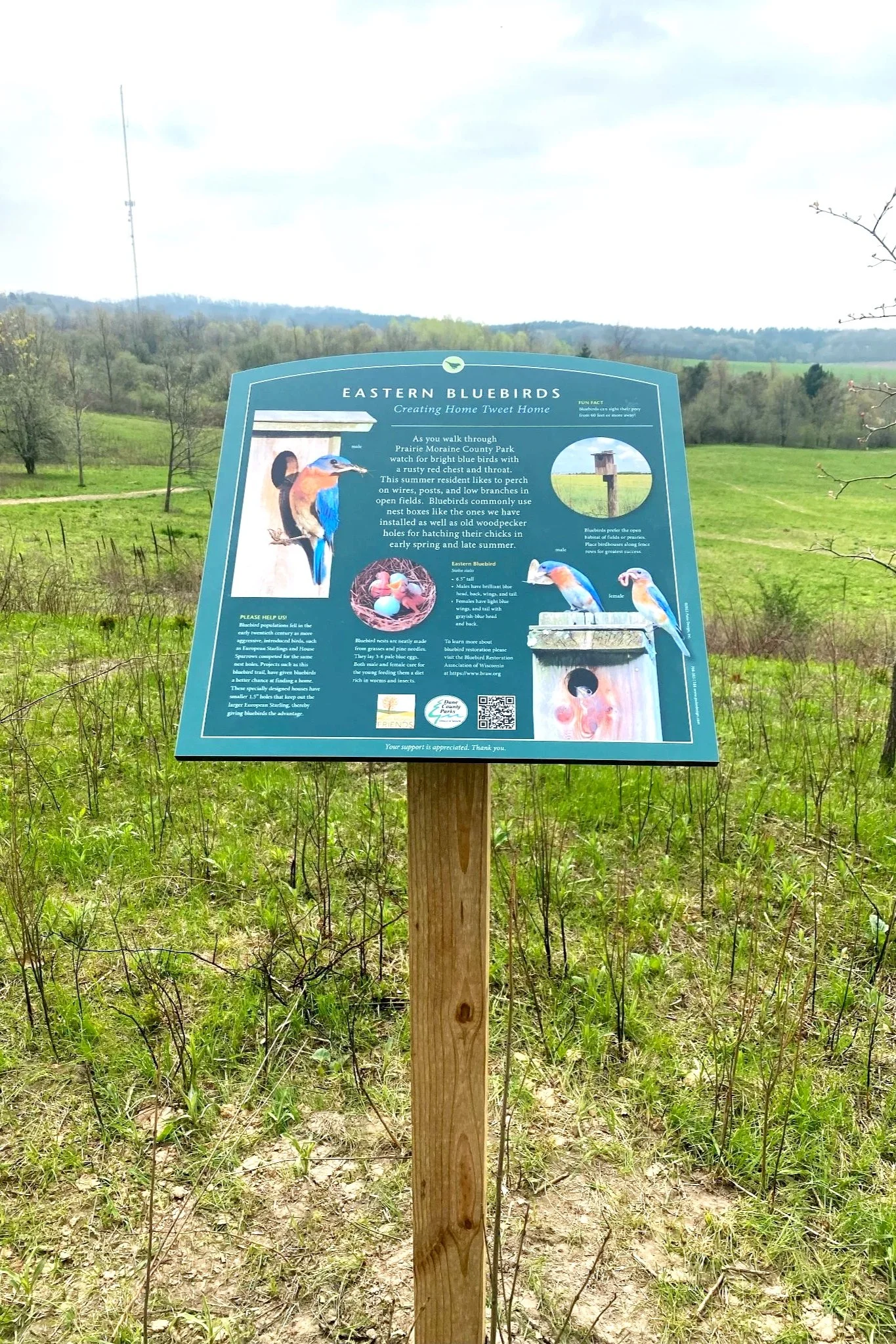 Bluebird signage in the park