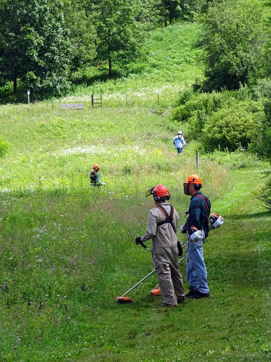 Two workers wearing helmets and safety gear using a grass trimmer in a grassy area with wildflowers.