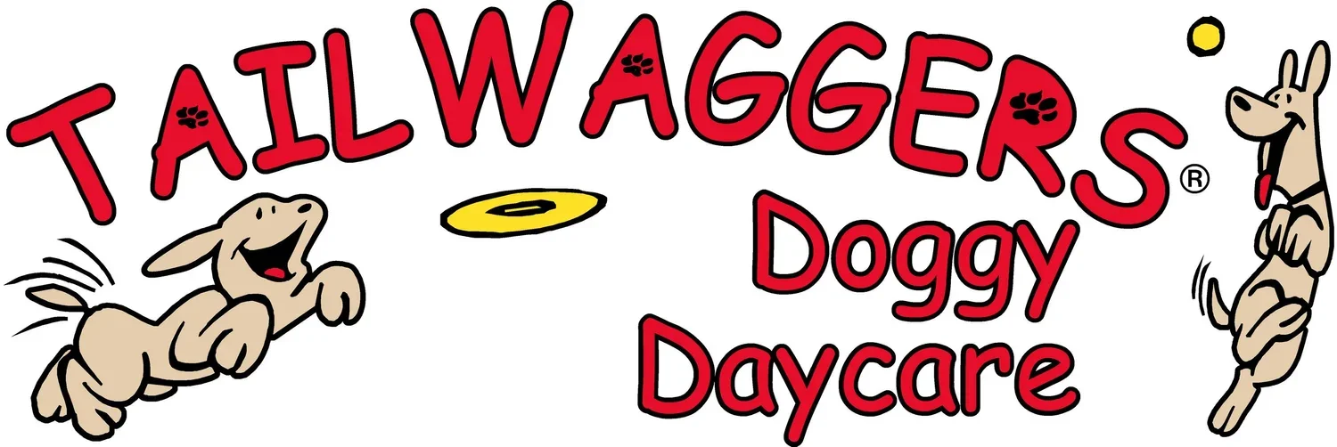 TailWaggers Doggy Daycare