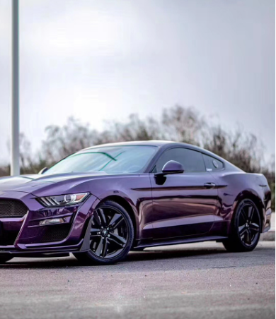 Gloss Metallic Midnight Purple