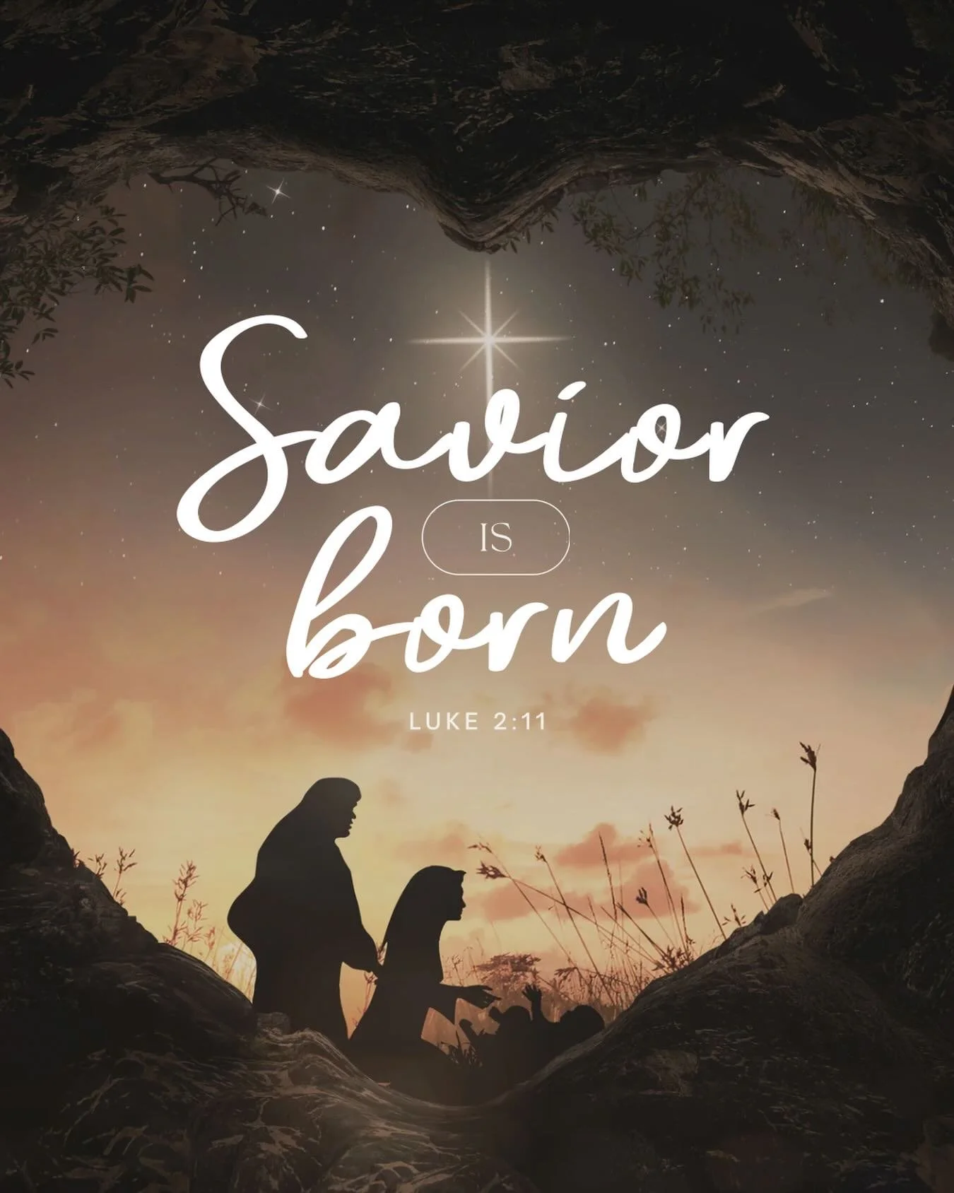 ✨ Today in the town of David a Savior has been born to you; he is the Messiah, the Lord ✨

Wishing you peace, joy, and hope today and always! ❤️🛡️